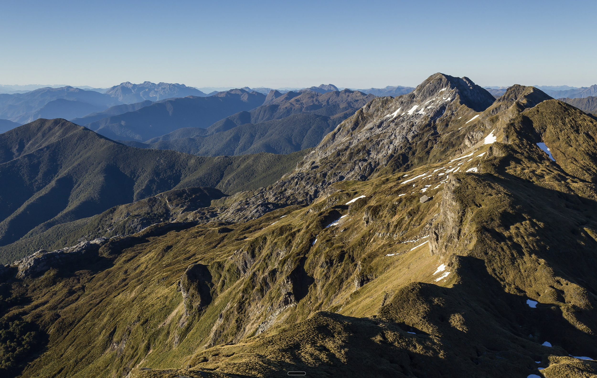 Tasman - Mt Arthur Day Tramp