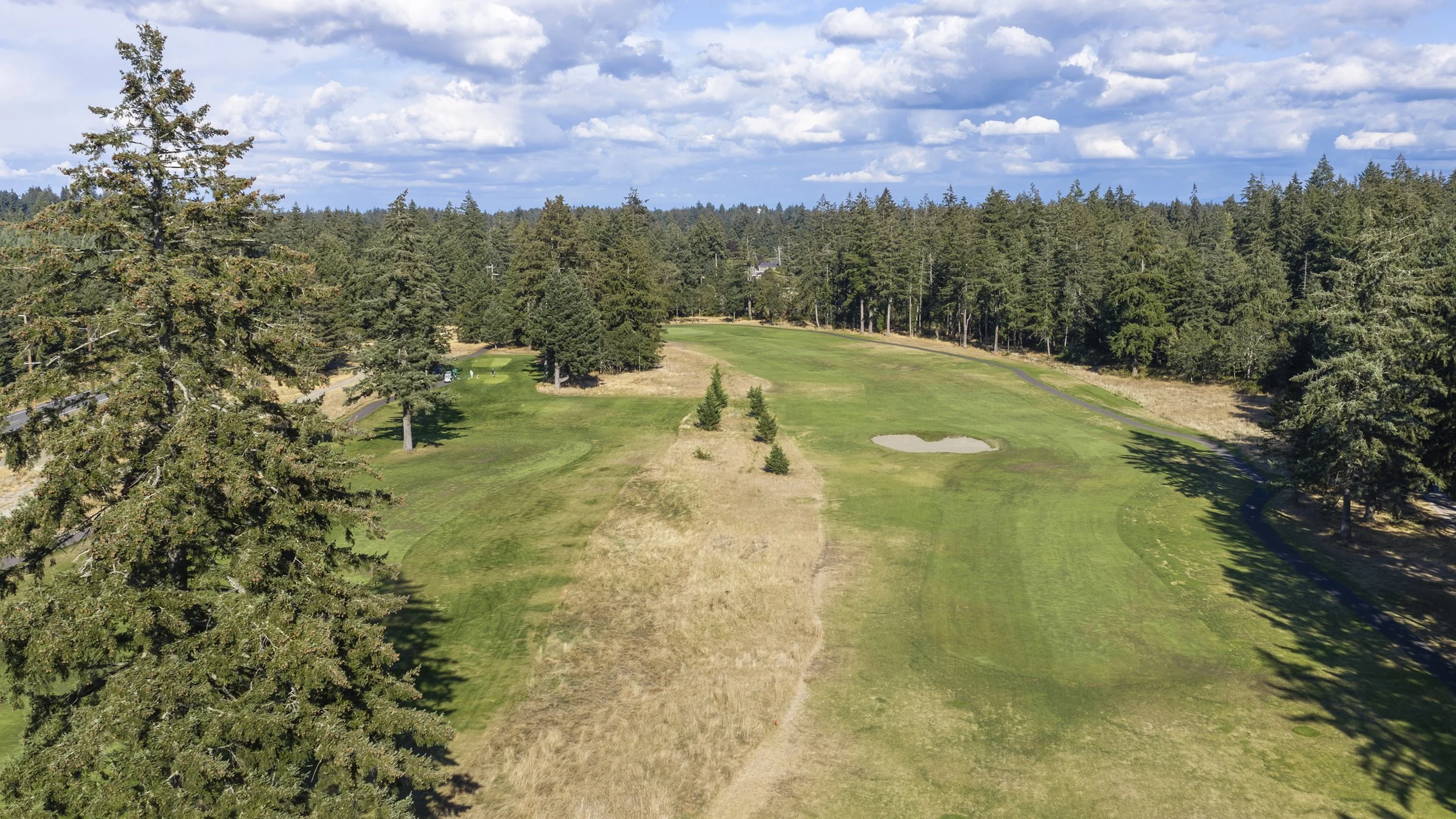 Aerial view of Hole 12 at American Lake Veterans Golf Course, surrounded by dense trees.