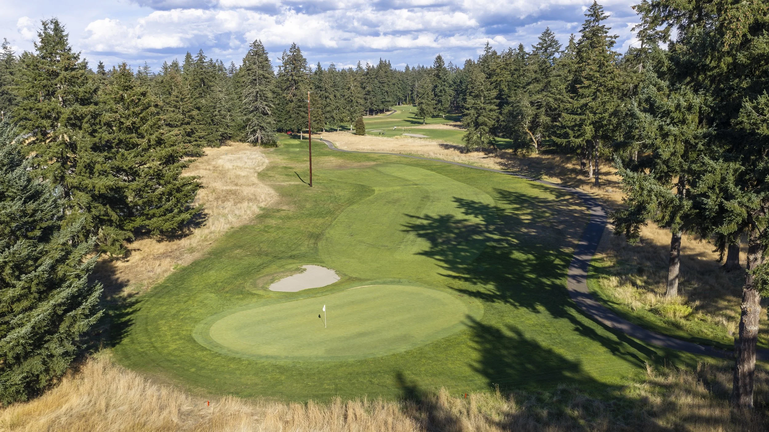 Hole 15 at American Lake Veterans Golf Course, a green with a bunker and flagstick, surrounded by tall trees.