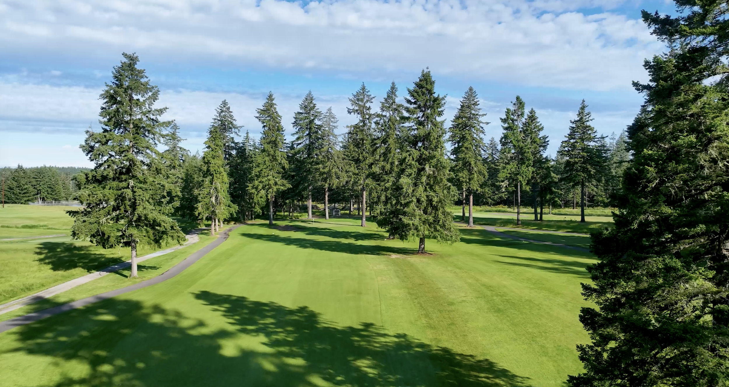 Hole 3 at American Lake Veterans Golf Course, a green fairway lined with tall evergreens.
