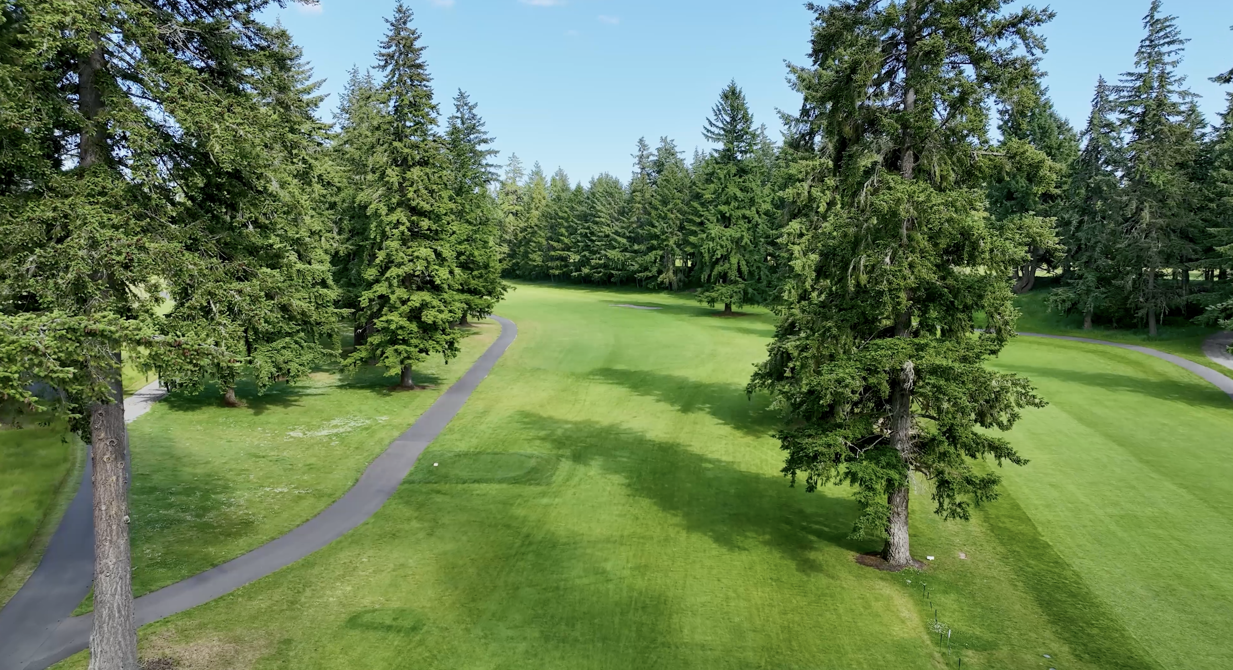 Hole 4 at American Lake Veterans Golf Course, a fairway bordered by tall pines under a blue sky.
