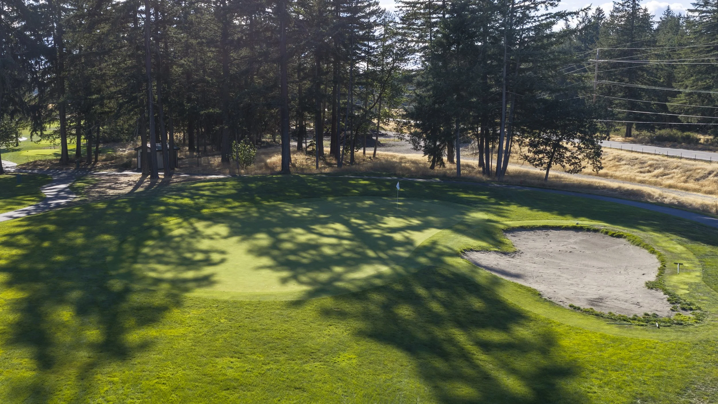 Hole 14 at American Lake Veterans Golf Course, a green with a bunker and a flag among tall trees.