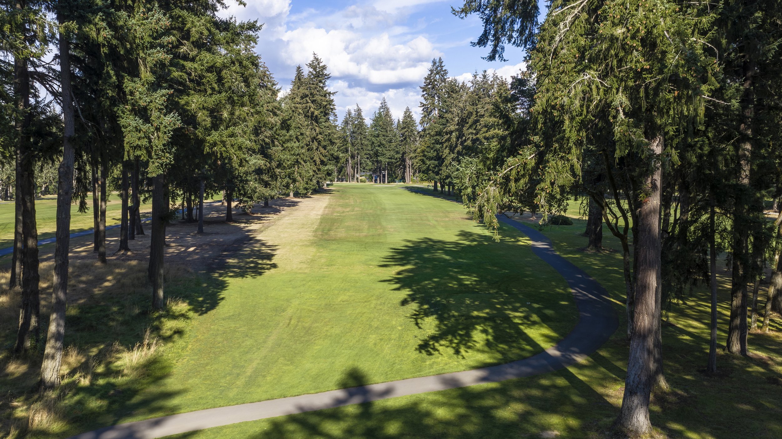 Hole 6 at American Lake Veterans Golf Course, a fairway surrounded by tall evergreens.