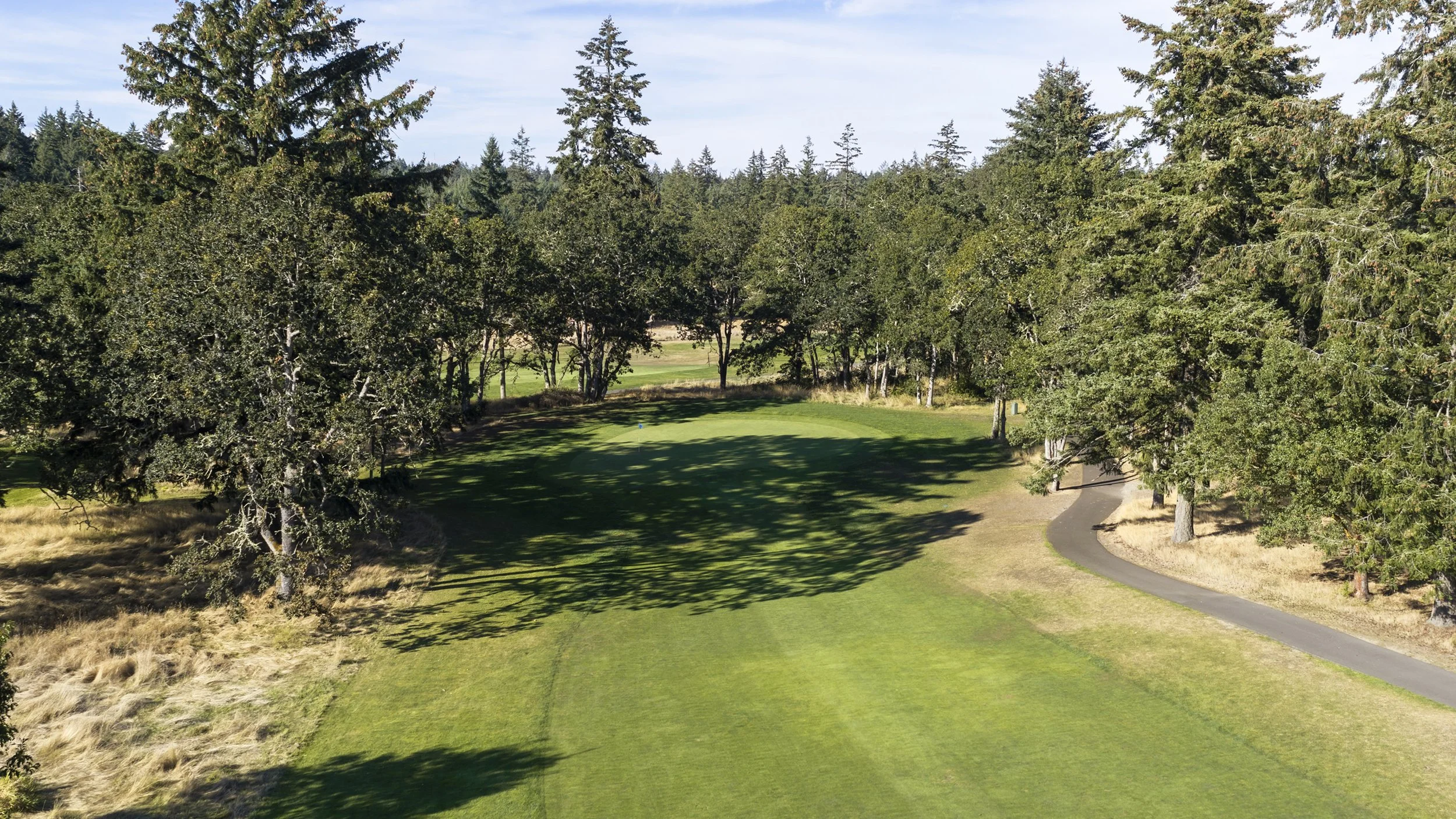 Hole 17 at American Lake Veterans Golf Course, a tree-lined fairway.