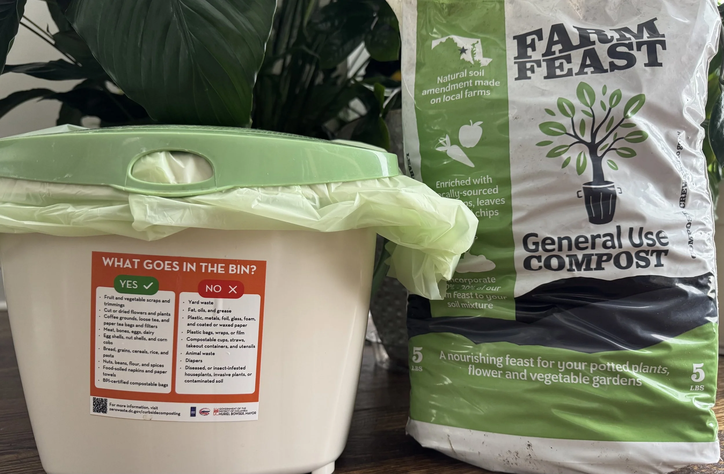 Composting Made Easy:               A Simple Way to Cut Food Waste at Home