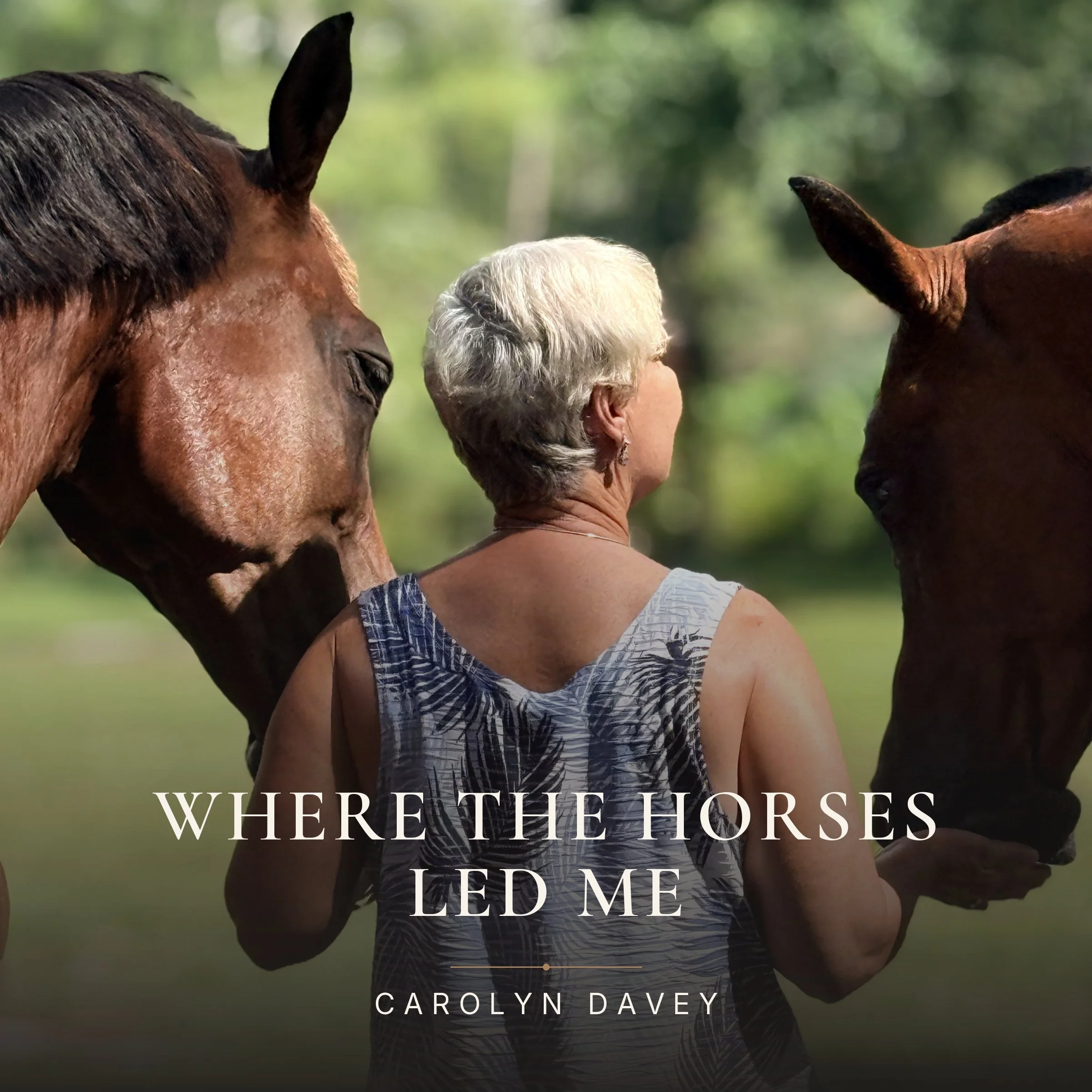 woman with white hair leading two brown horses