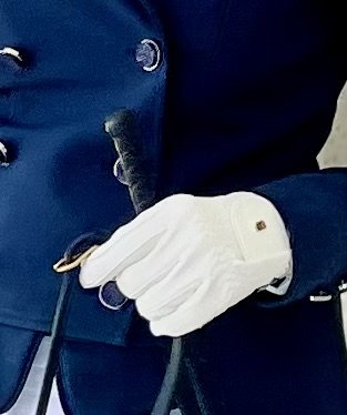 White riding gloves and blue riding jacket with reins