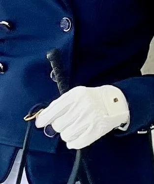 Close-up of a person wearing a dark blue uniform with brass buttons, white gloves, and holding a riding crop.