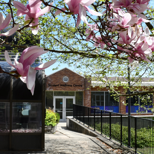 Wellness Hub Laurier Project