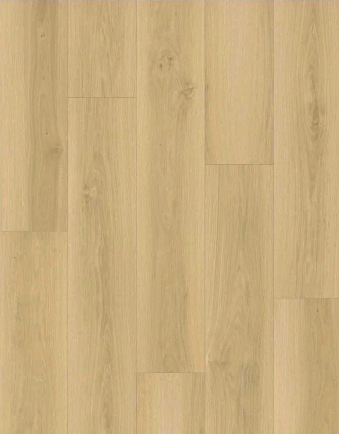 Color White Oak