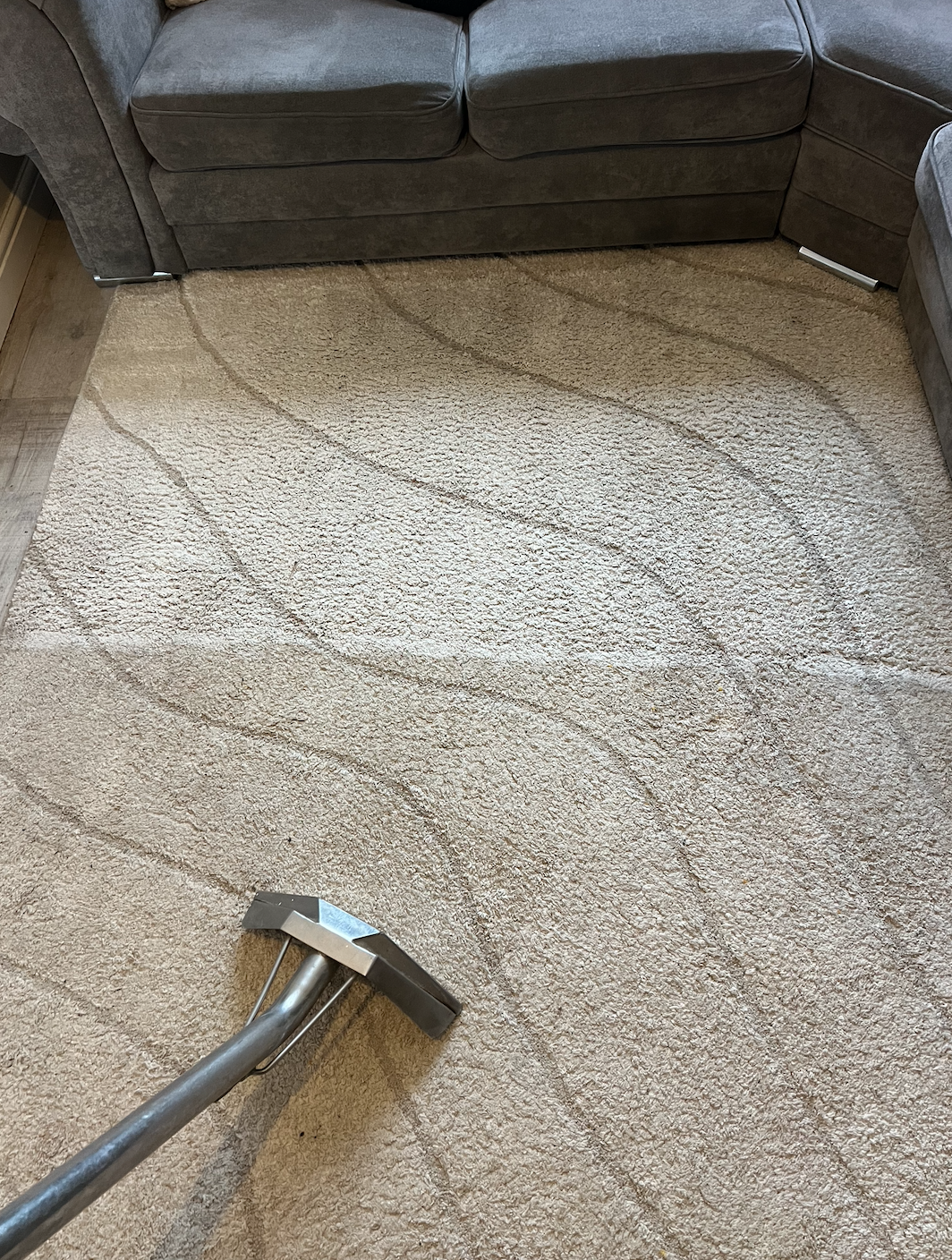 A person cleaning a beige area rug with a carpet cleaning tool in a living room.