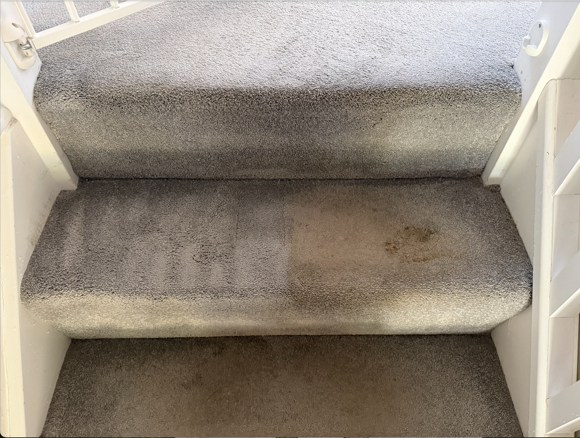 Carpeted staircase with four steps, showing signs of wear and a stain on the second step from the bottom, framed by white walls and banisters.