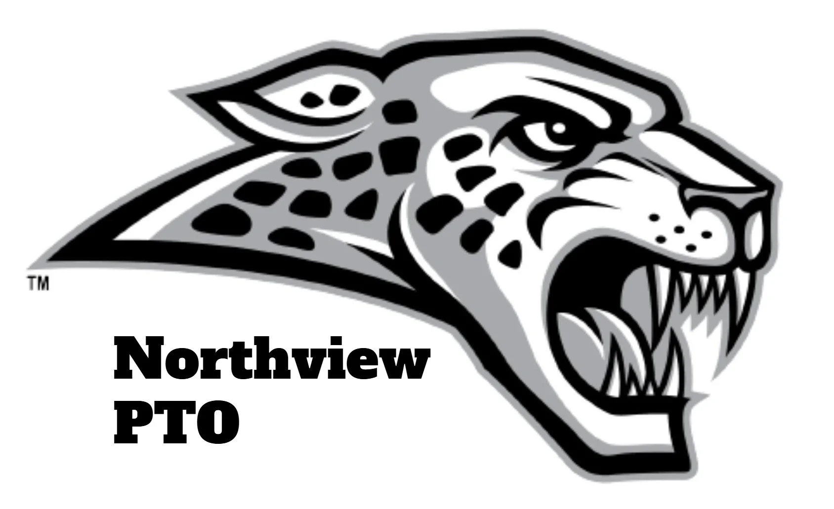 Logo of the Ankeny Centennial Jaguars team featuring a jaguar head and the words "Northview PTO".