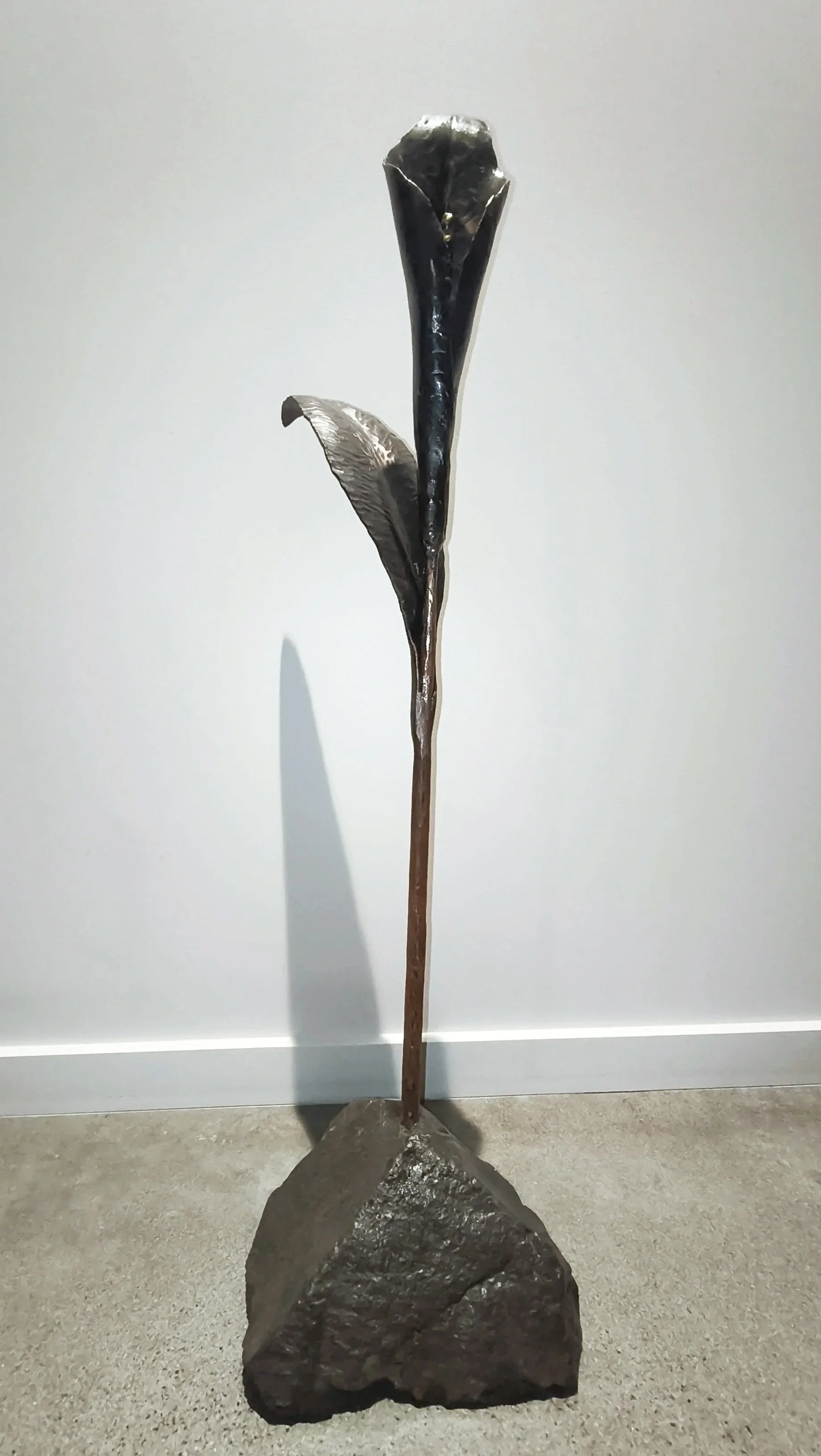 'Rooted in Stone'  - Available for sale at the Raglan Arts Weekend  24-26 Oct 2026