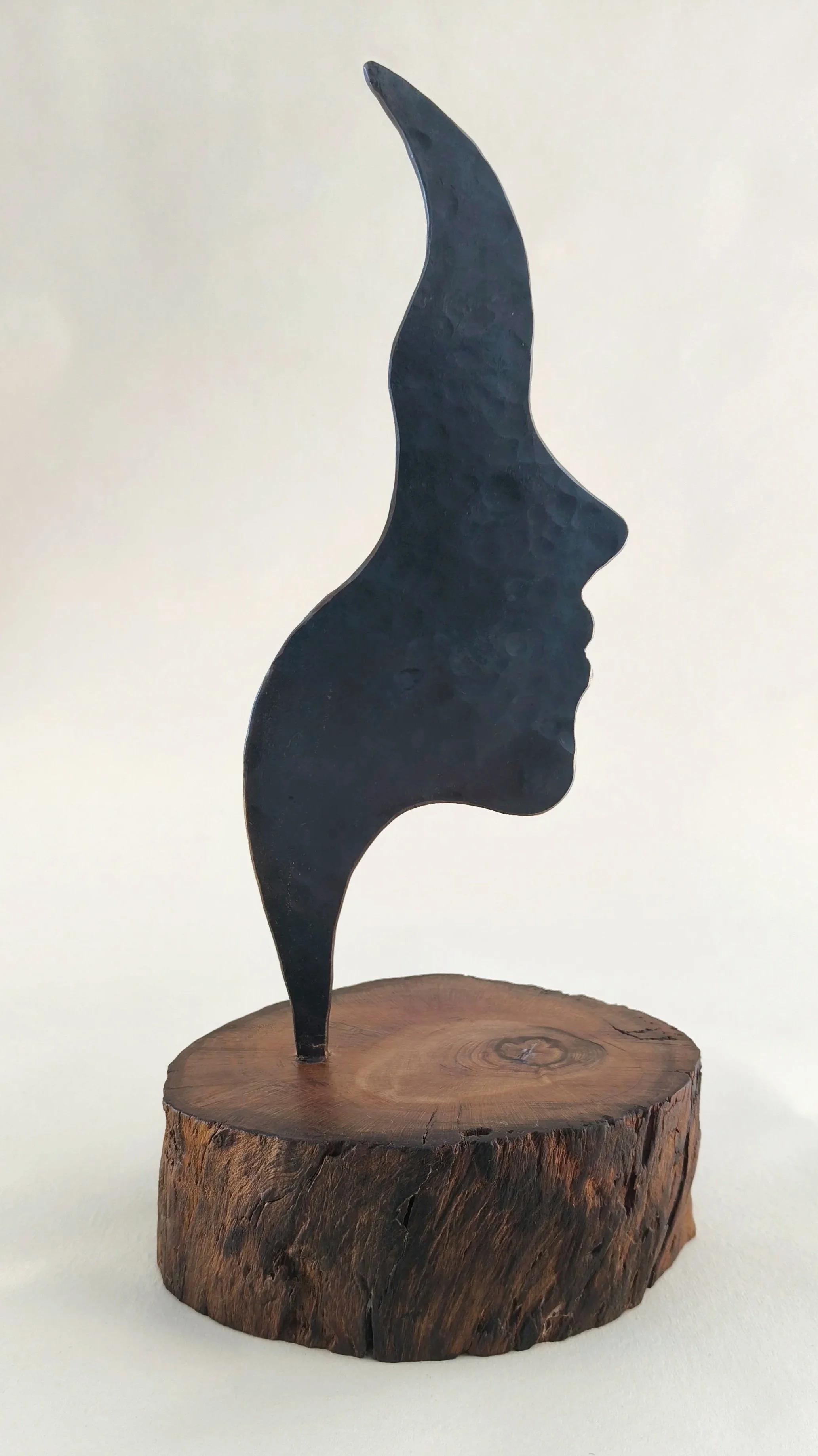 Profile #1 large - Available for sale at the Raglan Arts Weekend  24-26 Oct 2026