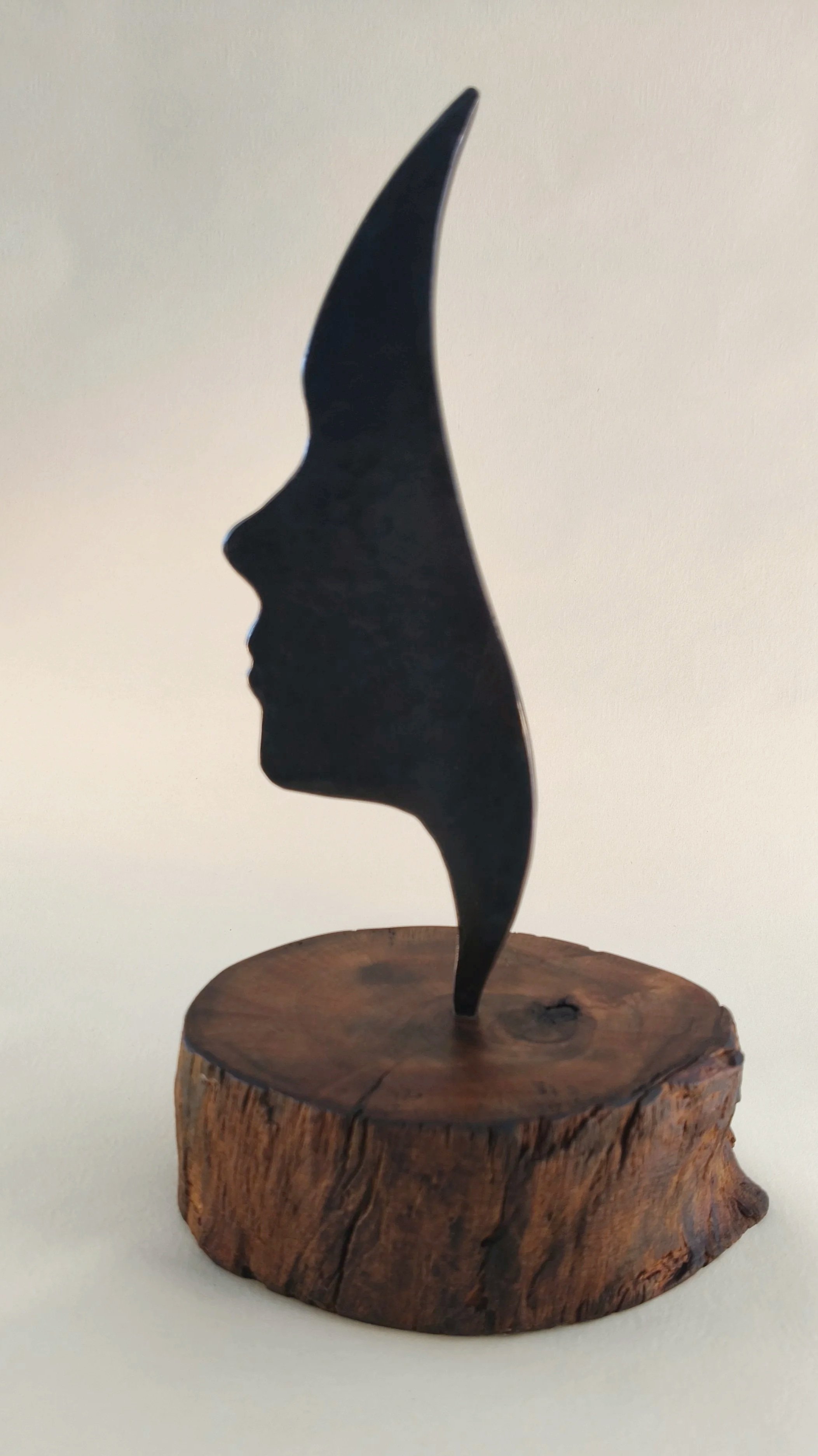 Profile #2 Large - Available for sale at the Raglan Arts Weekend  24-26 Oct 2026