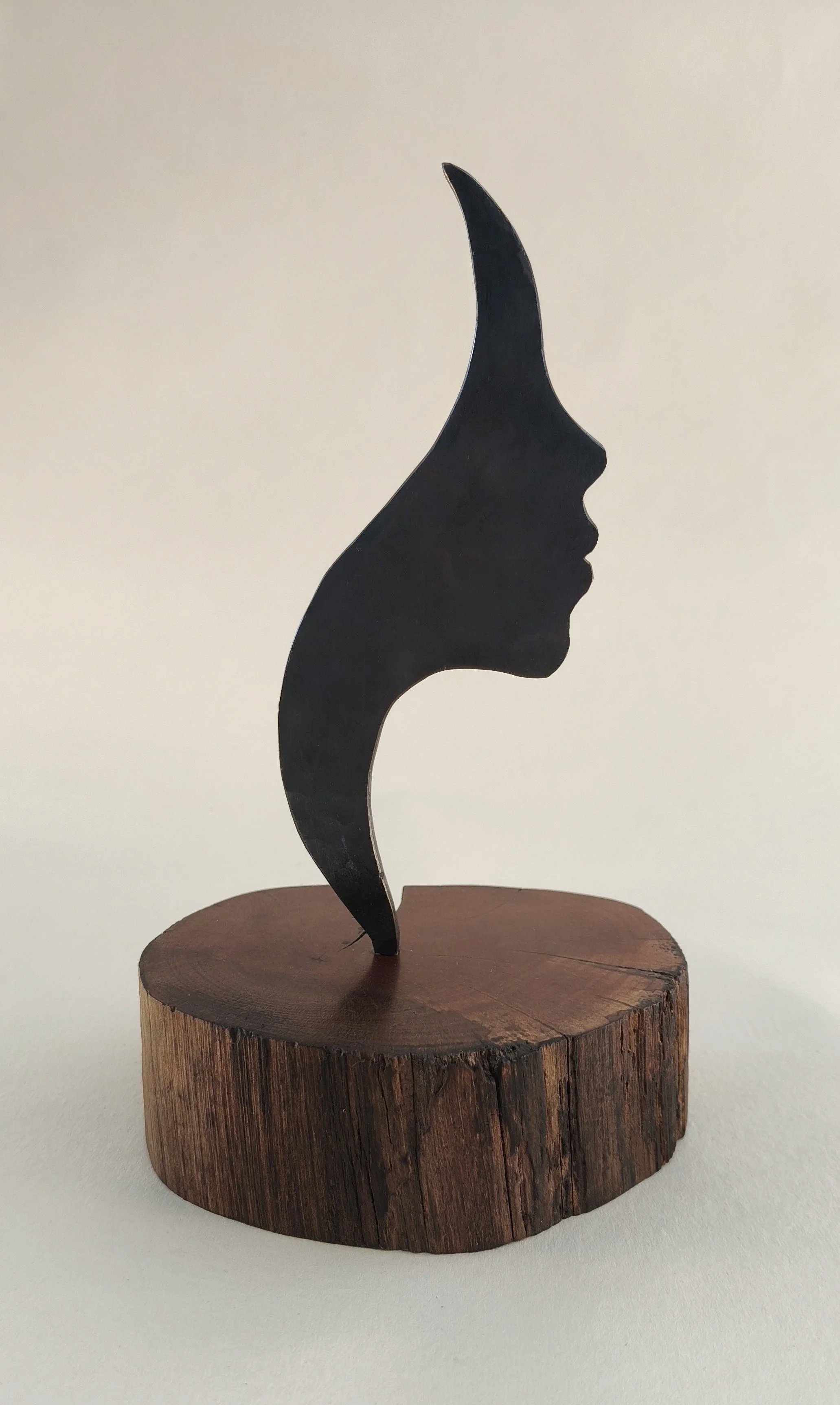 Profile #1 Small - Available for sale at the Raglan Arts Weekend  24-26 Oct 2026