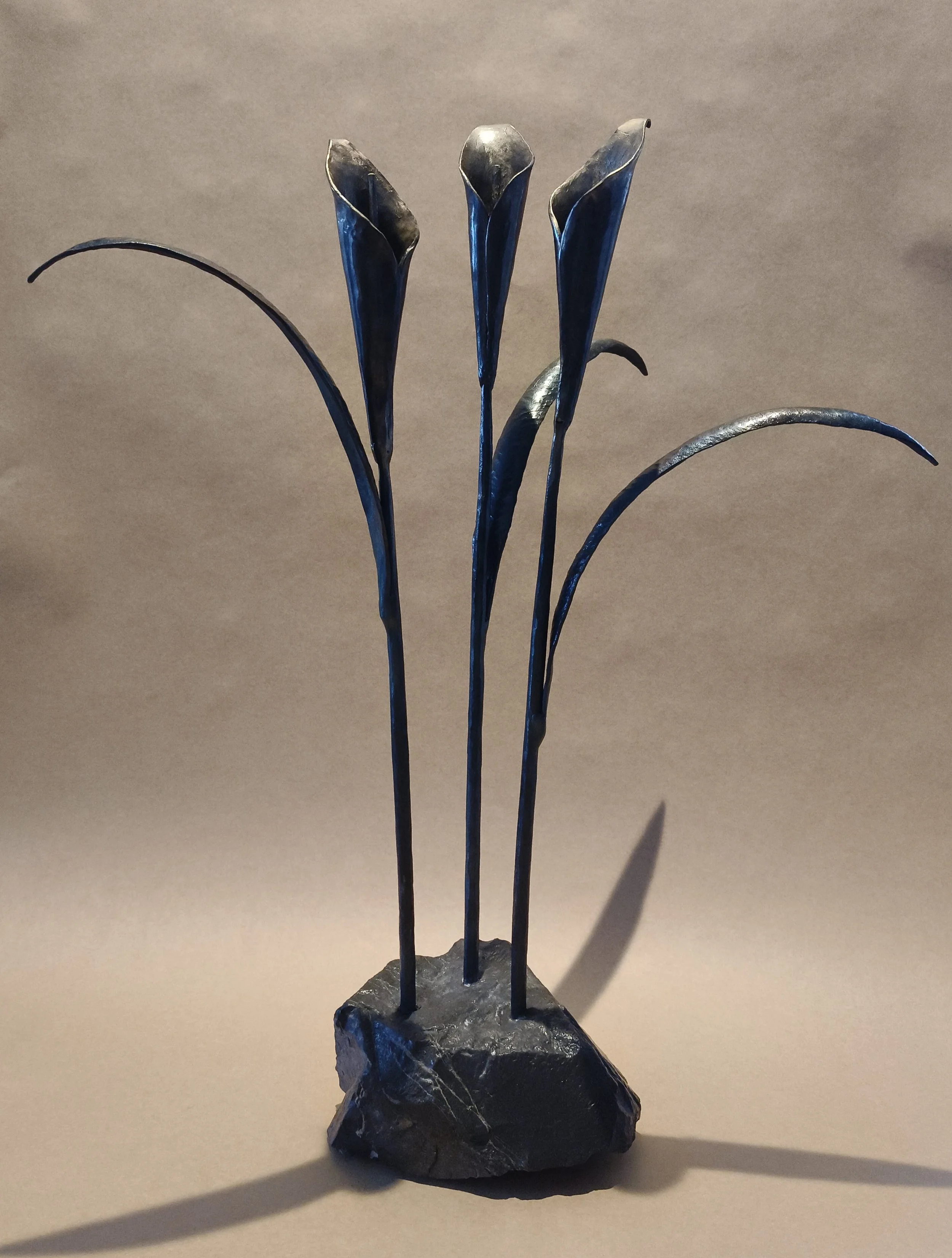 'Forged in Bloom'  - Available for sale at the Raglan Arts Weekend  24-26 Oct 2026