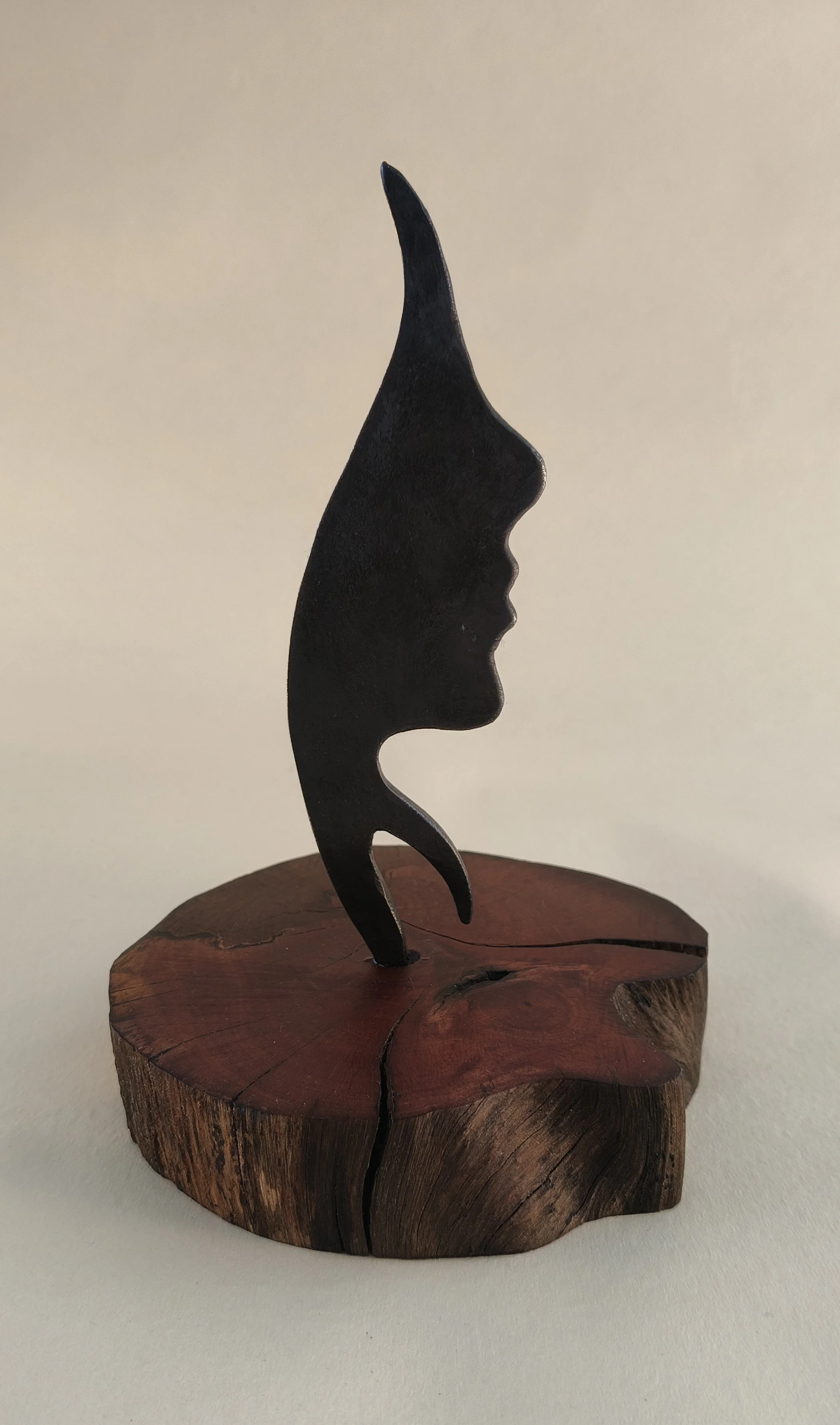 Profile #2 Small - Available for sale at the Raglan Arts Weekend  24-26 Oct 2026
