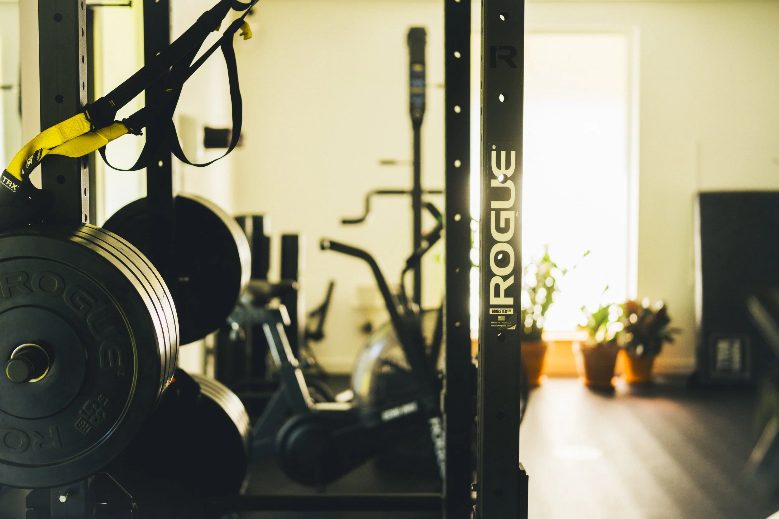 A gym with black weight plates on a rack, TRX suspension straps hanging, and sunlight coming through a window in the background.