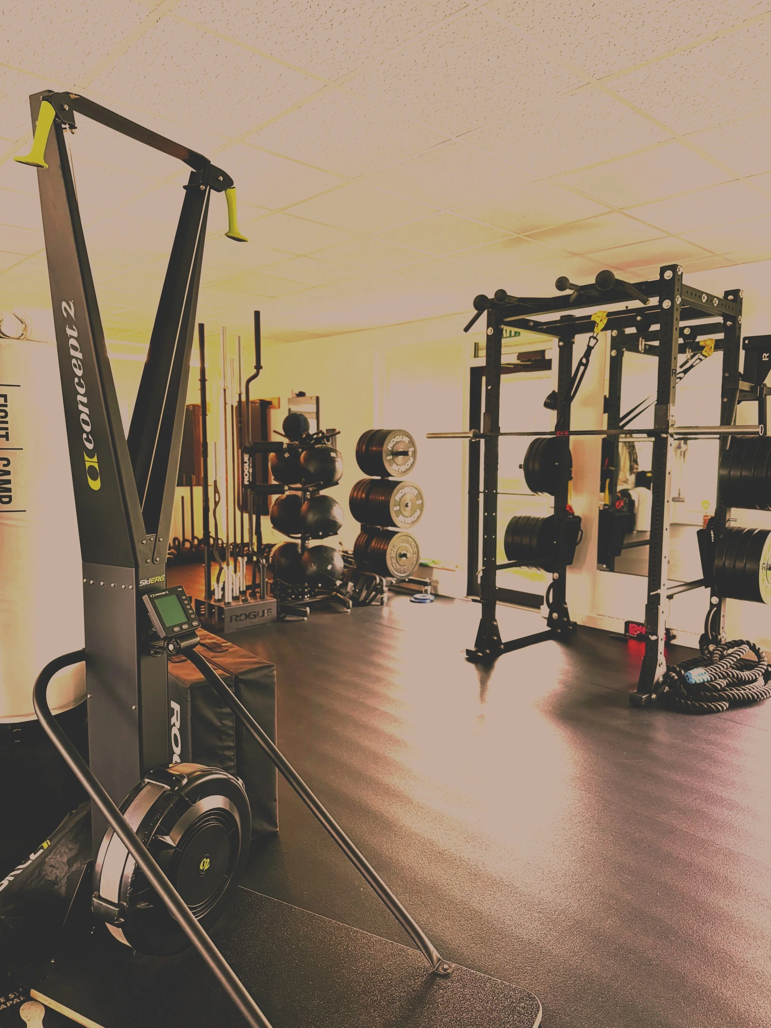 Gym interior with exercise equipment including a seated rowing machine, squat rack with weights, medicine balls, rip-resistant bands, and a pile of ropes.