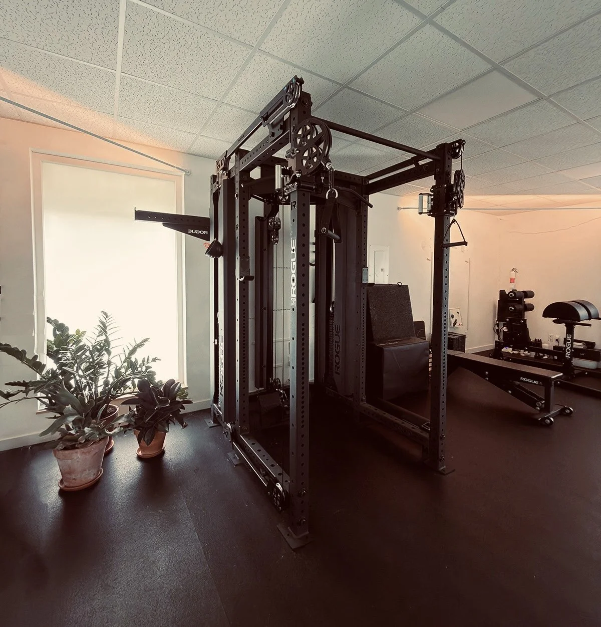 A gym room with black Rogue fitness equipment including a power rack, a rowing machine, and a leg press machine. There are plants in pots near a window that allows natural light to enter, with a shadowed ceiling and dark flooring.