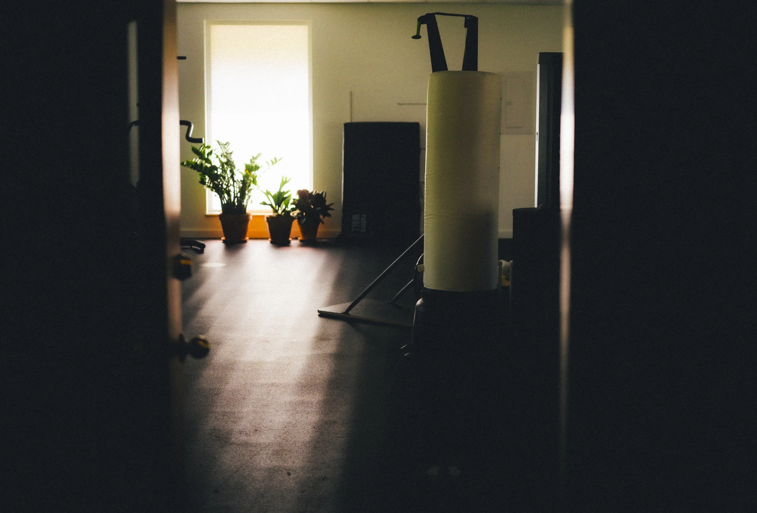 A dark hallway leading to a well-lit room with potted plants near a window, and gym equipment including a treadmill and an elliptical machine visible inside.