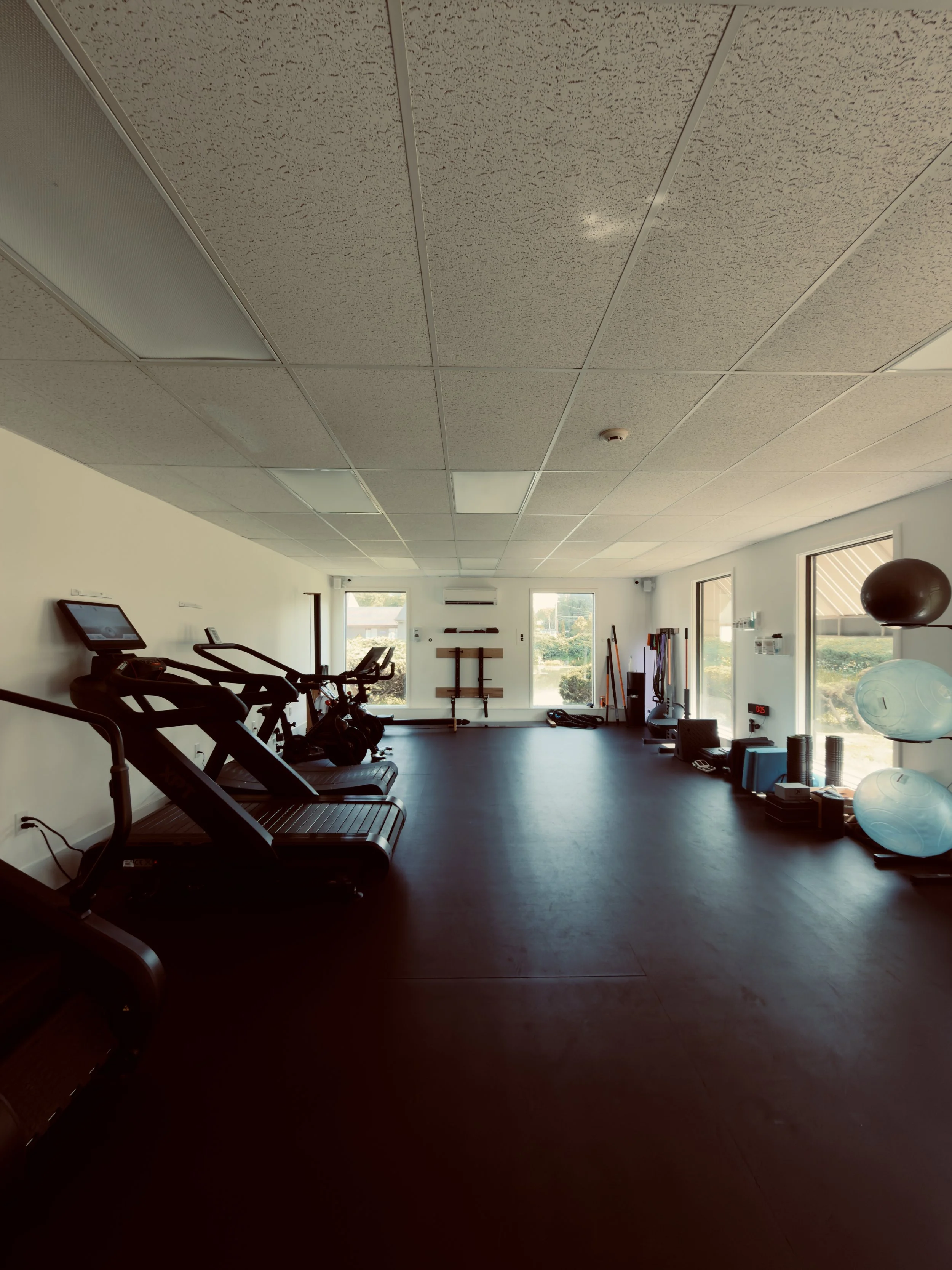 Fitness studio with treadmill machines, exercise equipment, large windows, and fitness balls.
