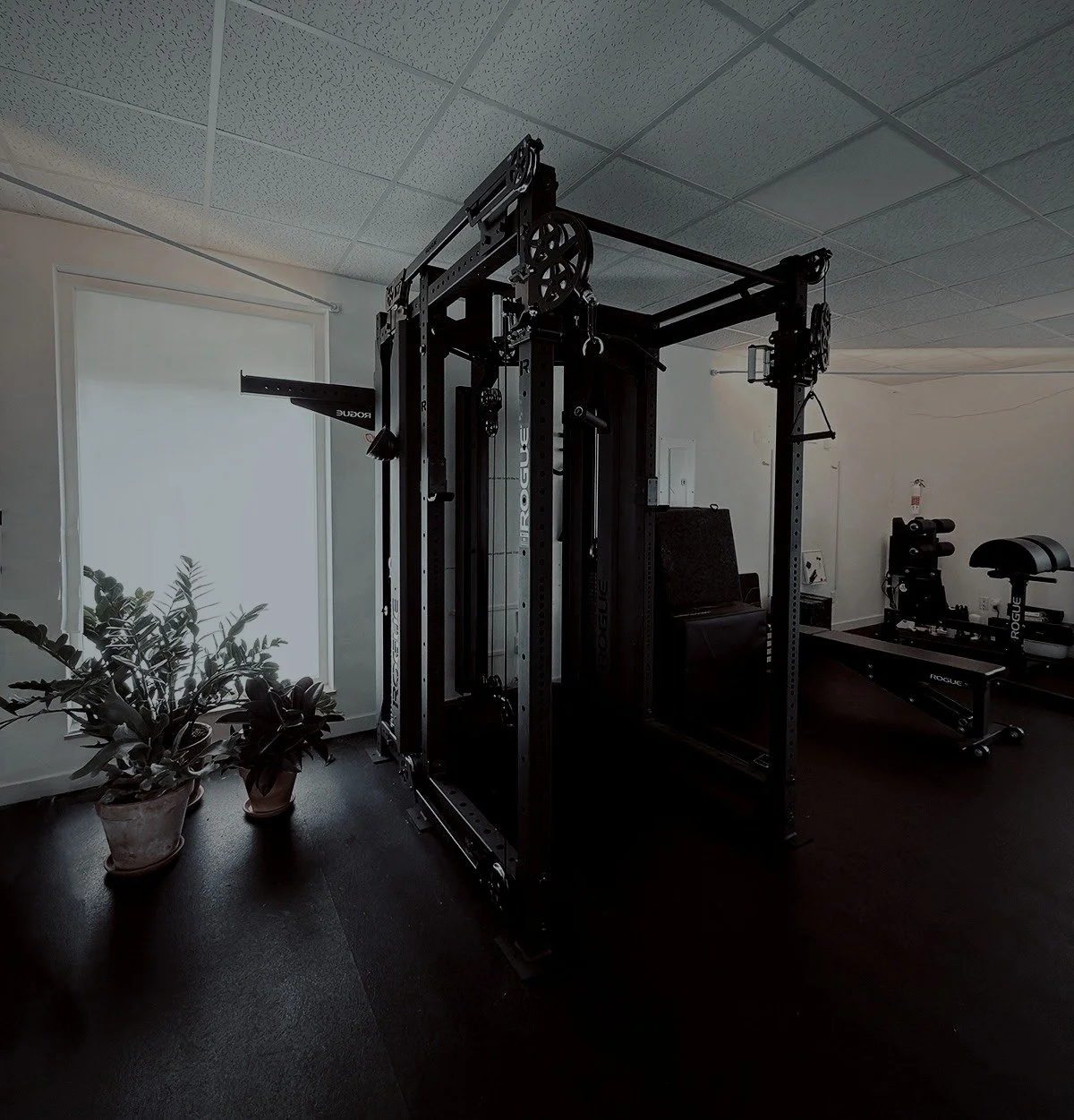 Home gym with fitness equipment, including a multi-functional Smith machine, a rowing machine, and some potted plants near the window.