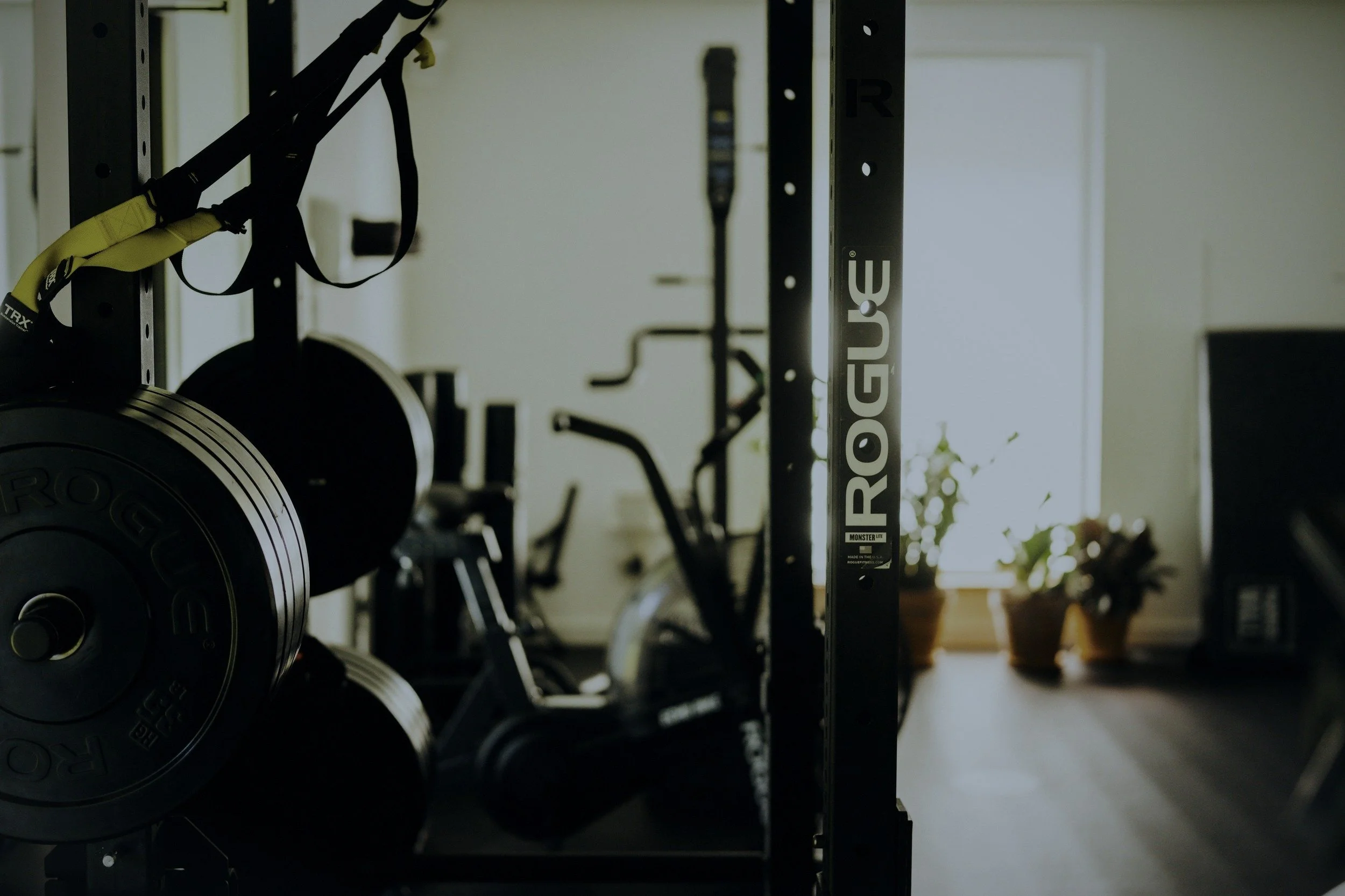 A gym interior with black fitness equipment, including weight plates and a Rogue brand power rack, near a window with sunlight and a potted plant in the background.