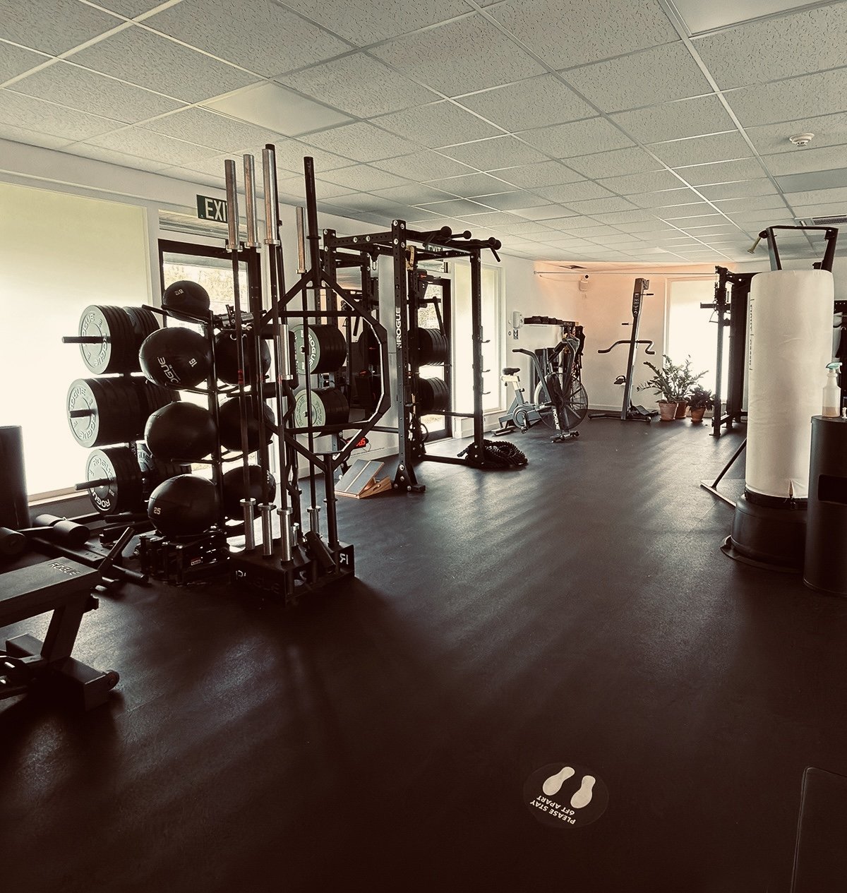 Empty gym with weightlifting equipment, cardio machines, a punching bag, and potted plants near windows.