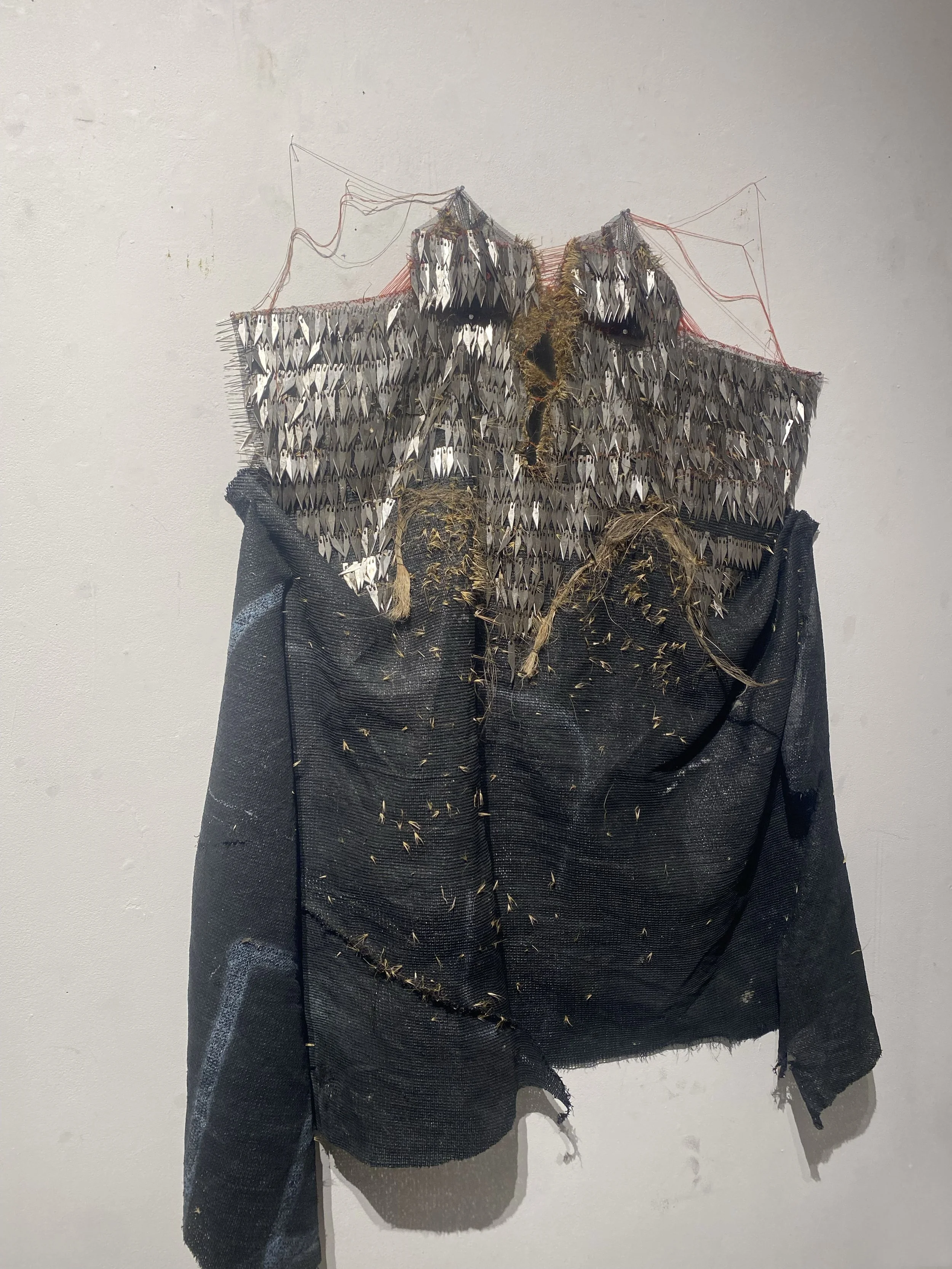 Untitled (defense or self-destruction)