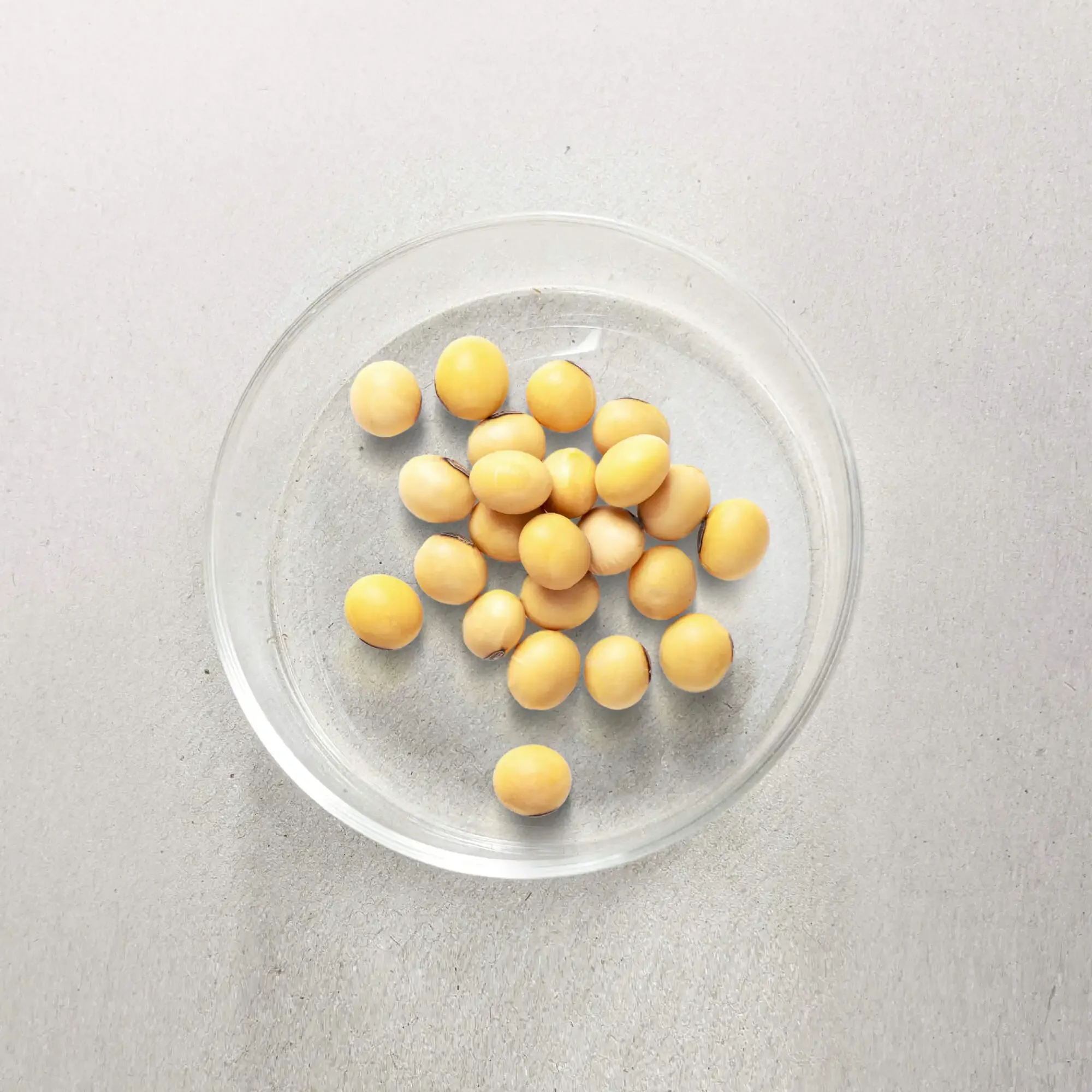 A clear glass bowl on a gray surface containing several yellow seeds with some black spots on their ends.