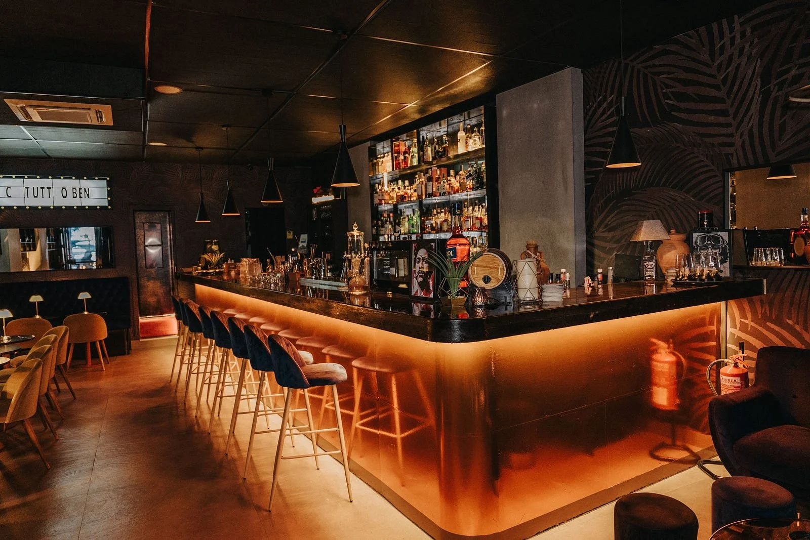 Dark modern bar interior with illuminated bar lighting, concrete walls, and shelves of liquor bottles.
