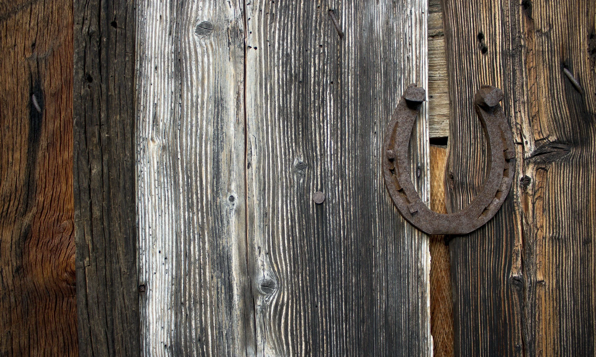 Horseshoe has long carried meanings of protection, strength, and moving forward.