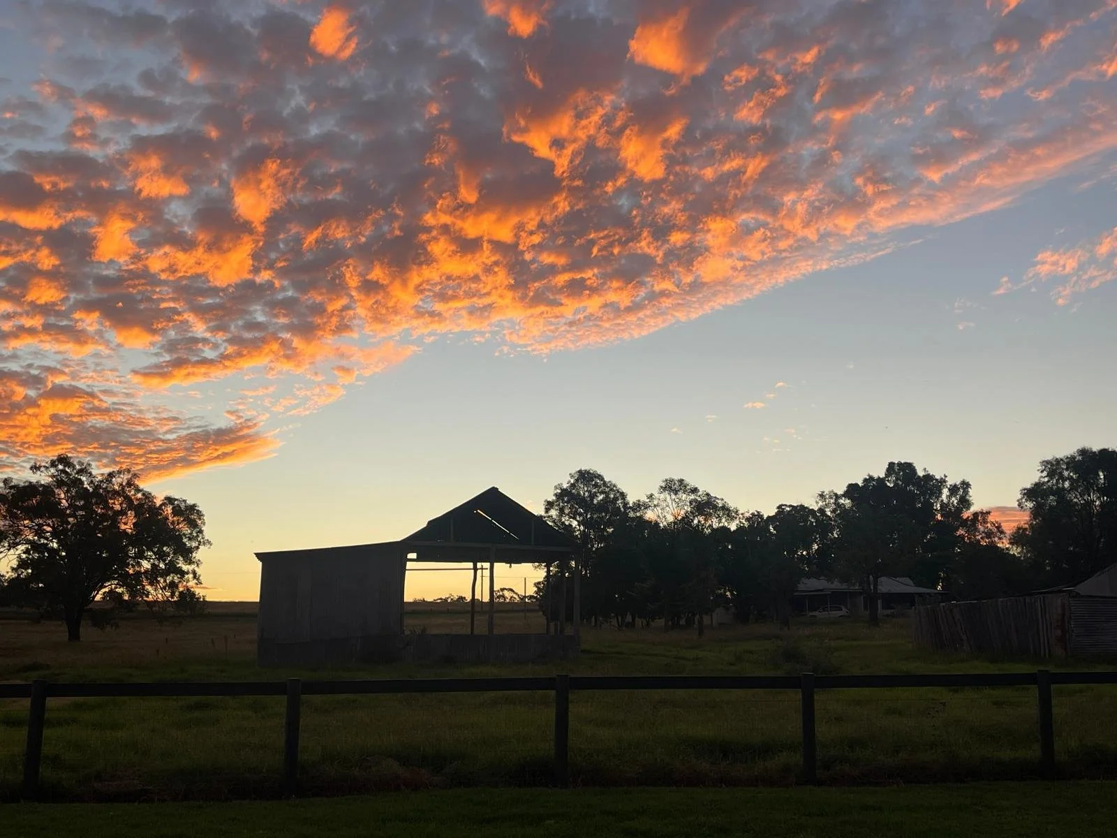 Outdoor country setting used for animal-assisted counselling sessions