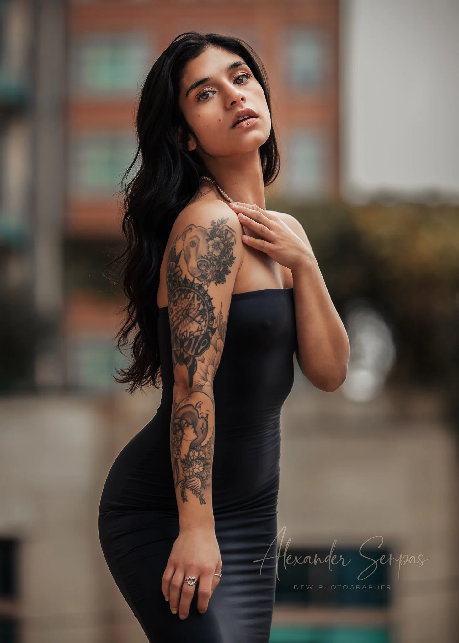 Muse Portfolio