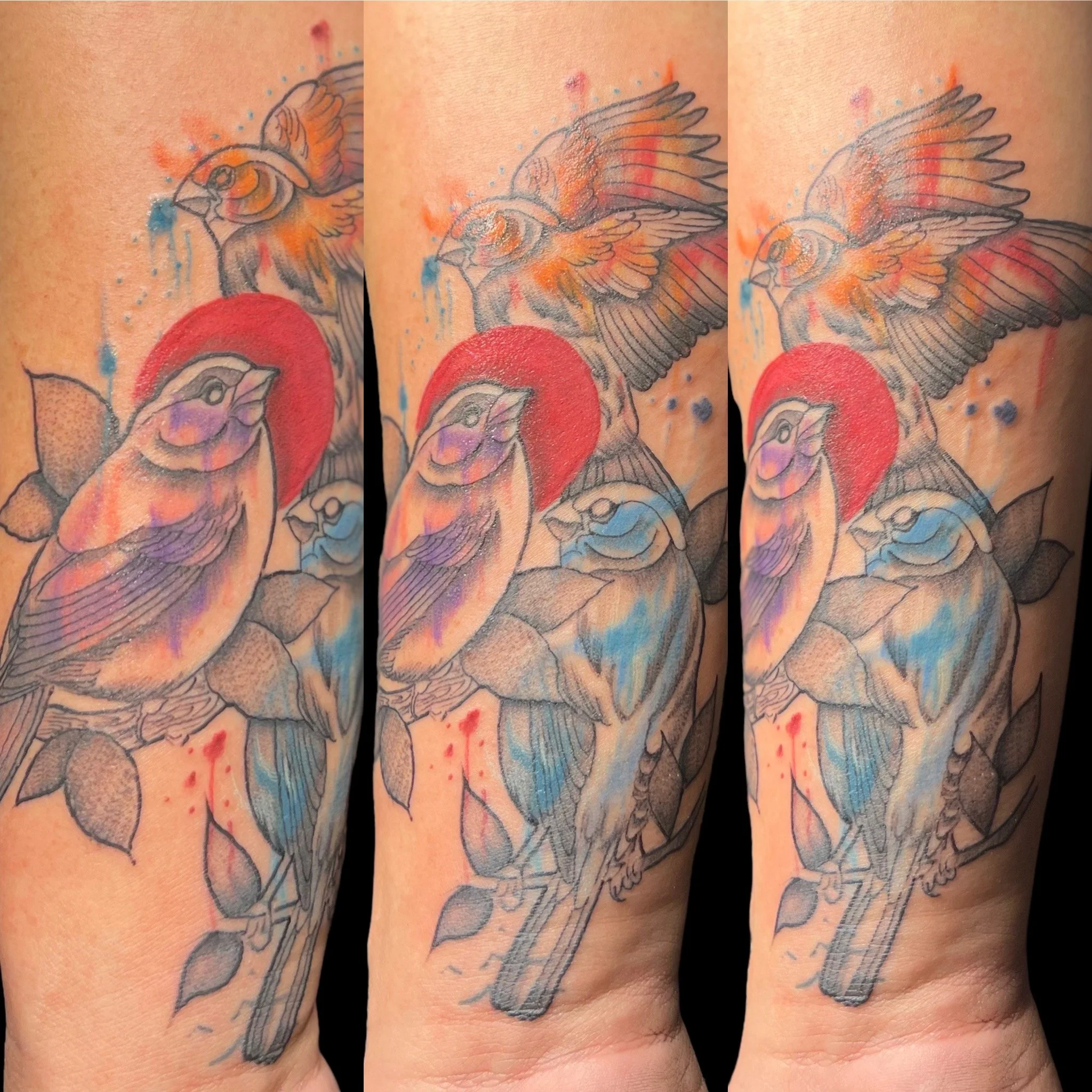 Water color sparrows, forearm