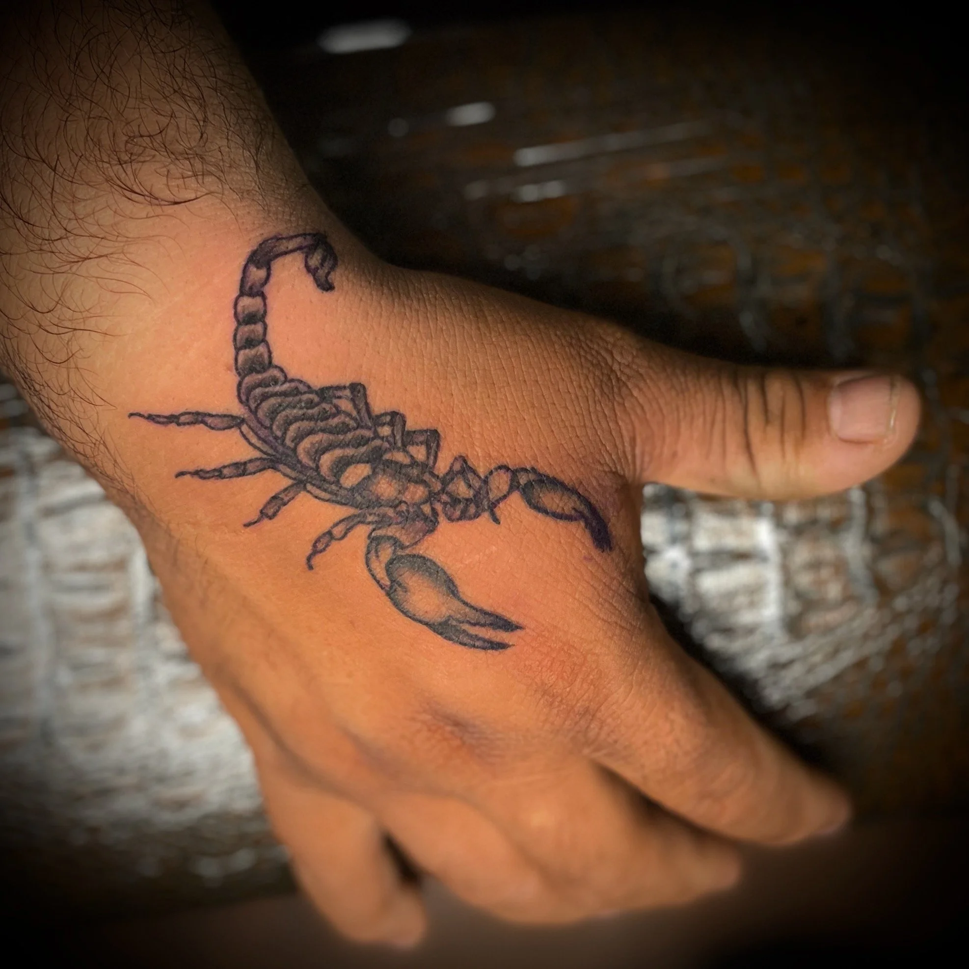 Black and grey scorpion, hand