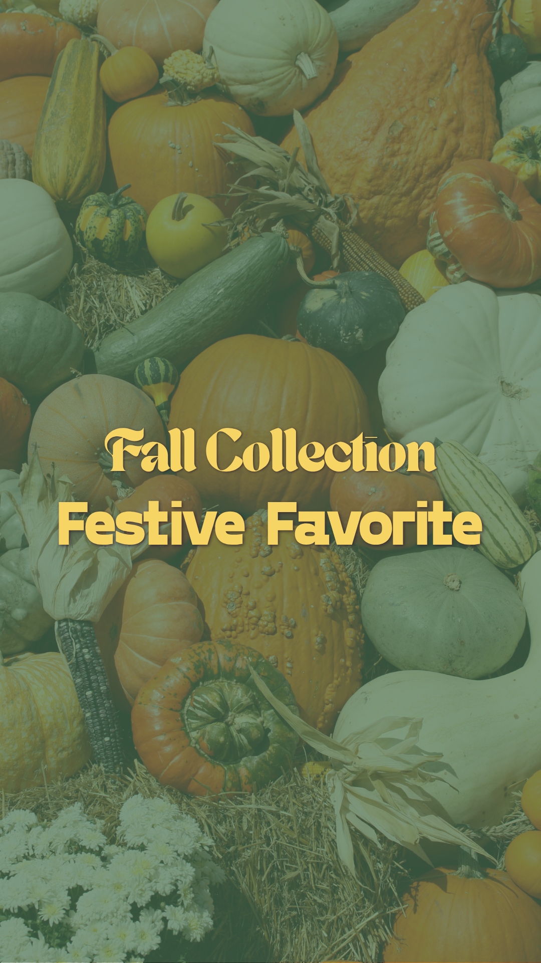 Festive Favorite Fall Collection