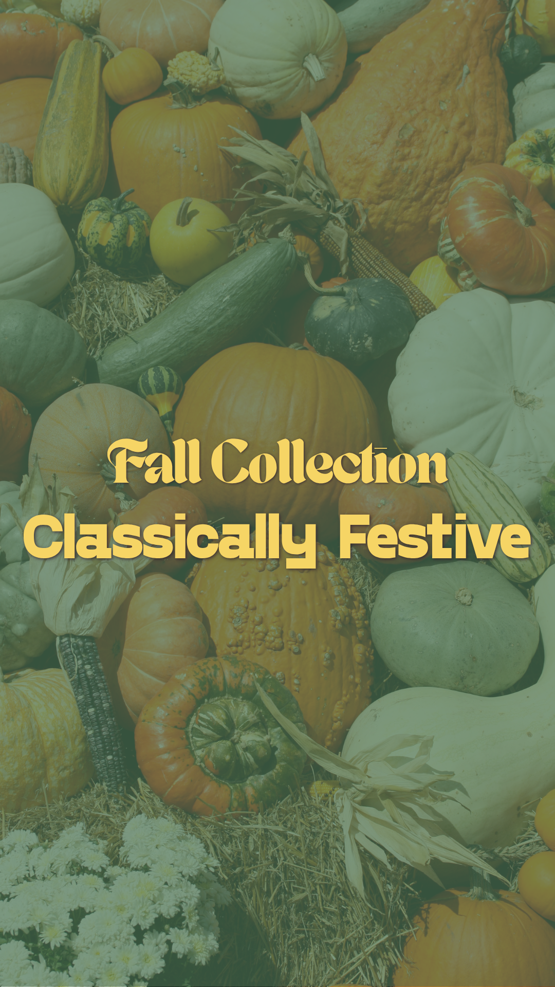 Classically Festive Fall Collection
