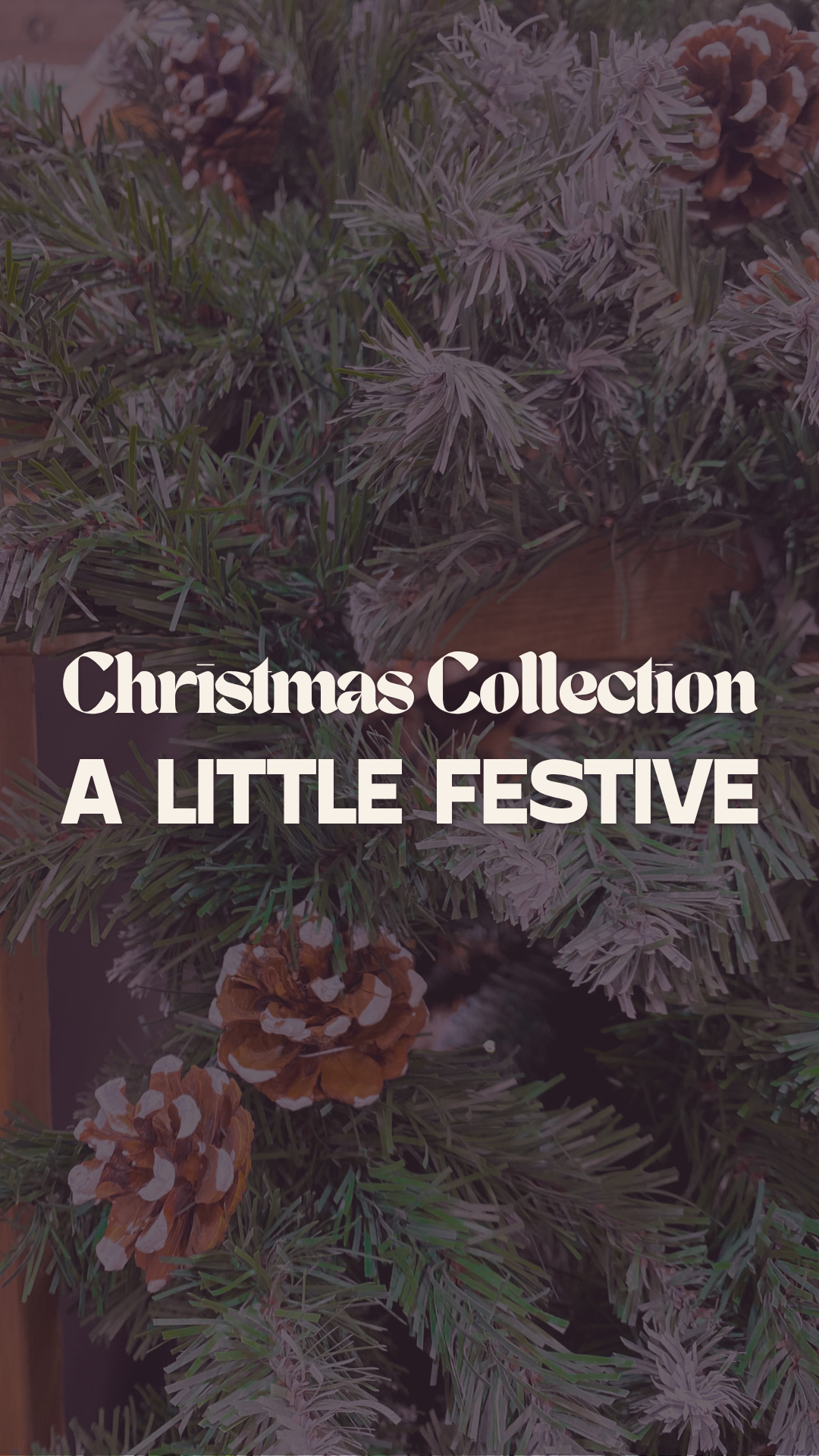 A Little Festive Christmas Collection