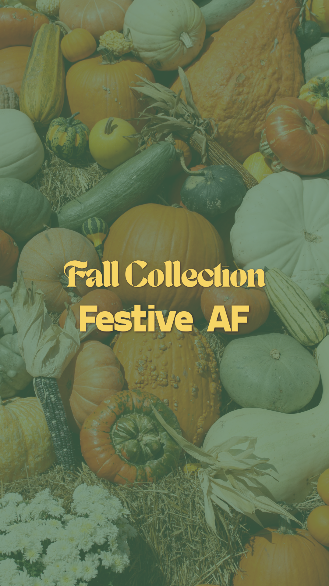 Festive AF  Fall Collection