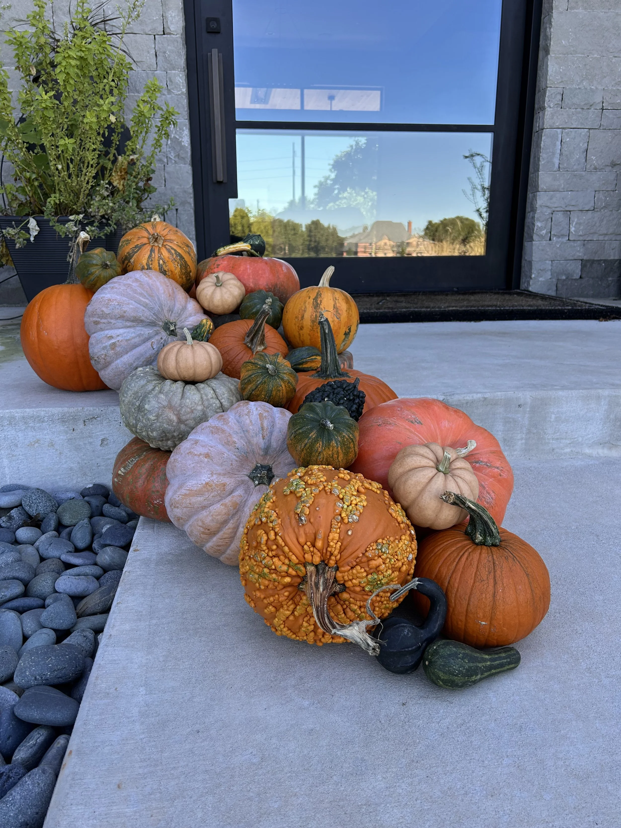 A Little Festive Fall Collection