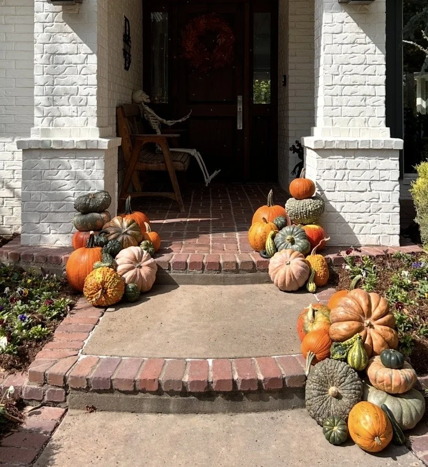 Classically Festive Fall Collection