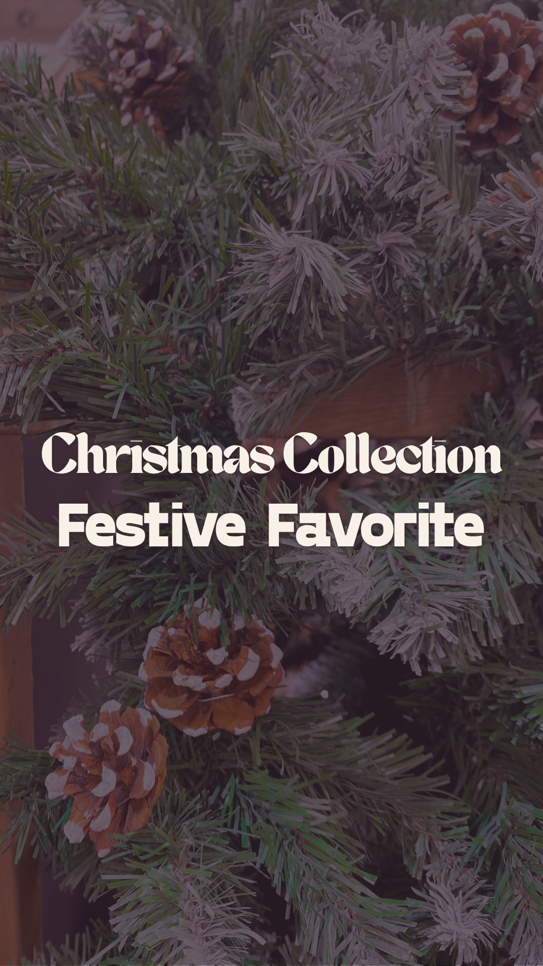 Festive Favorite Christmas Collection