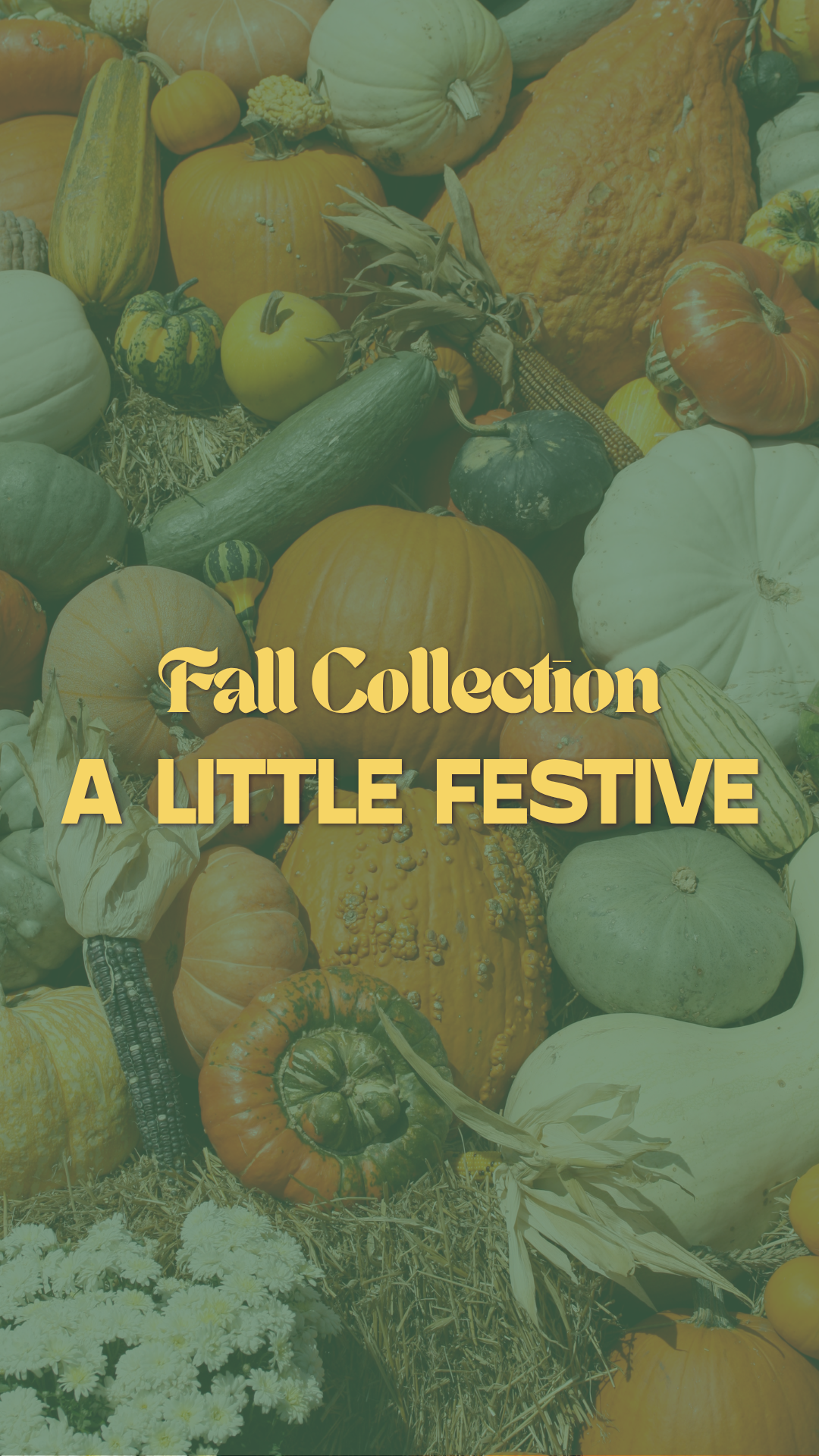 A Little Festive Fall Collection