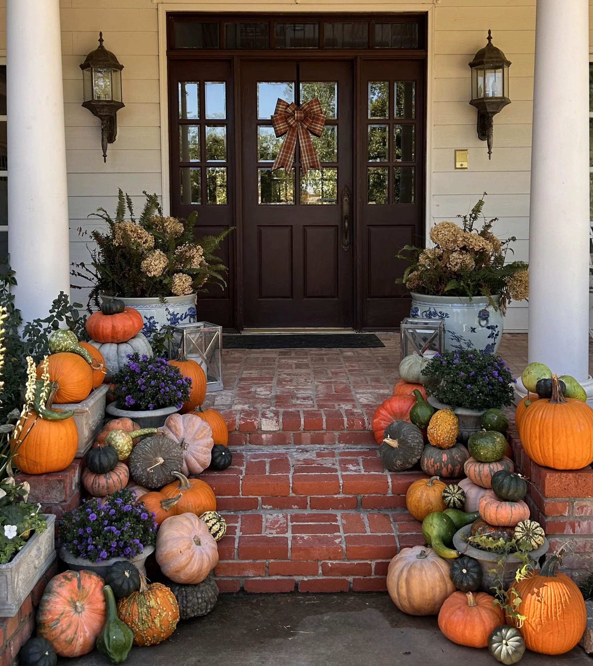 Festive Favorite Fall Collection