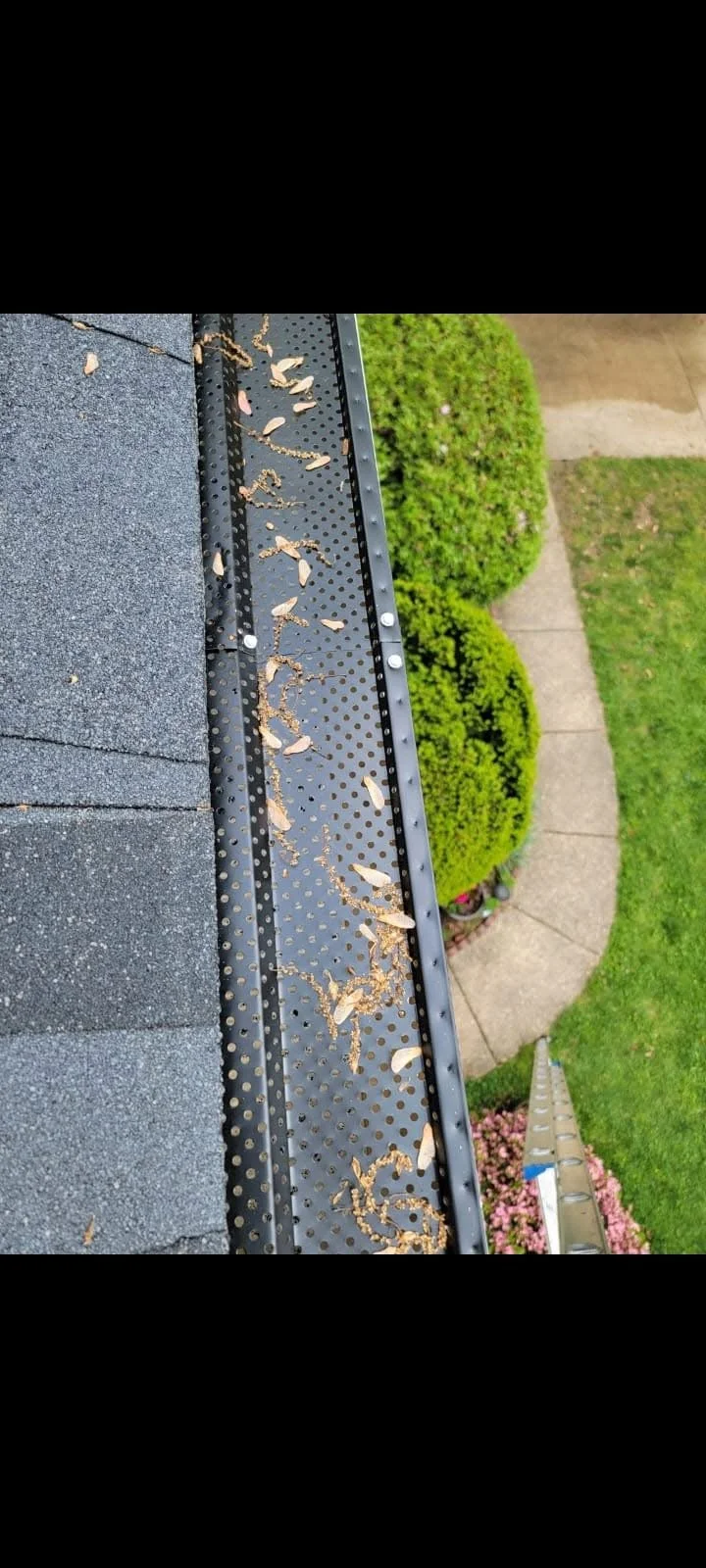 A section of a roof with leaves and debris on a metal gutter, overlooking a garden with bushes, a walkway, and a lawn.