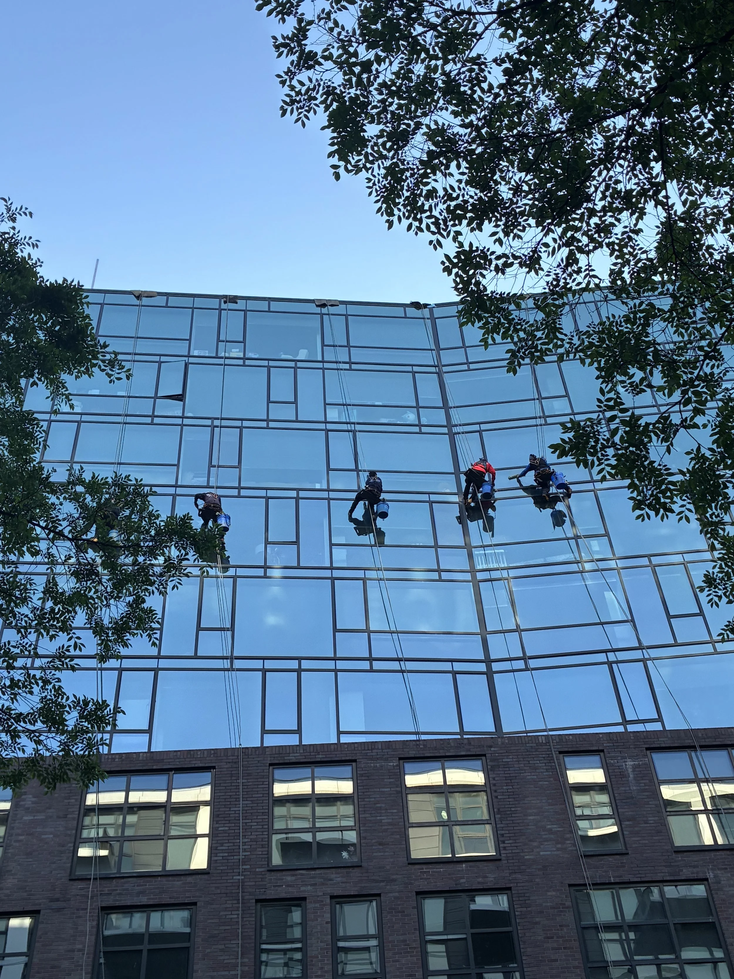 A glass skyscraper building with multiple floors and reflective windows, surrounded by trees, with three window washers cleaning the windows.